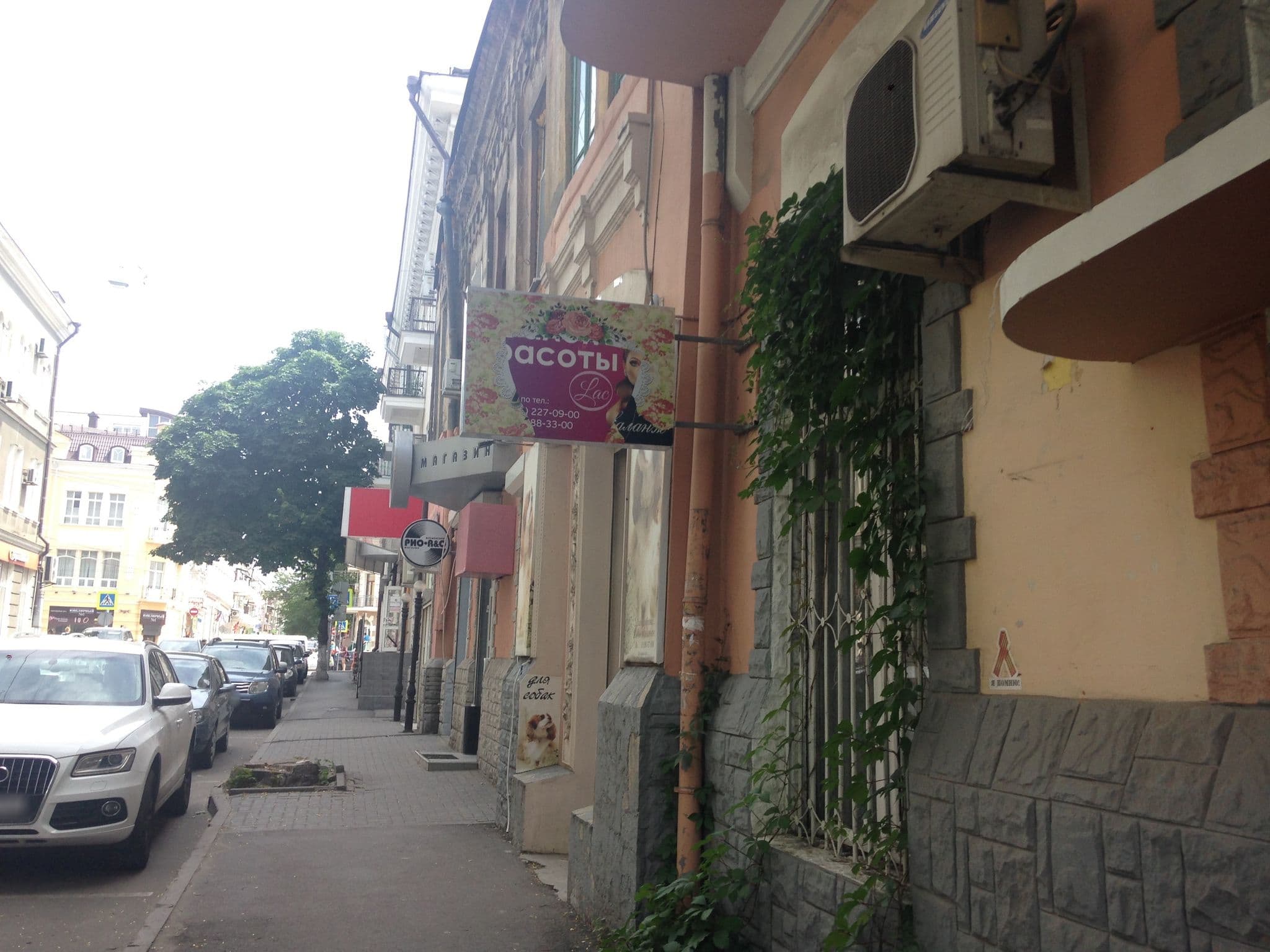 Street view near Шервуд, Rostov-on-Don — © golovinova (CC BY-SA · Mapillary)