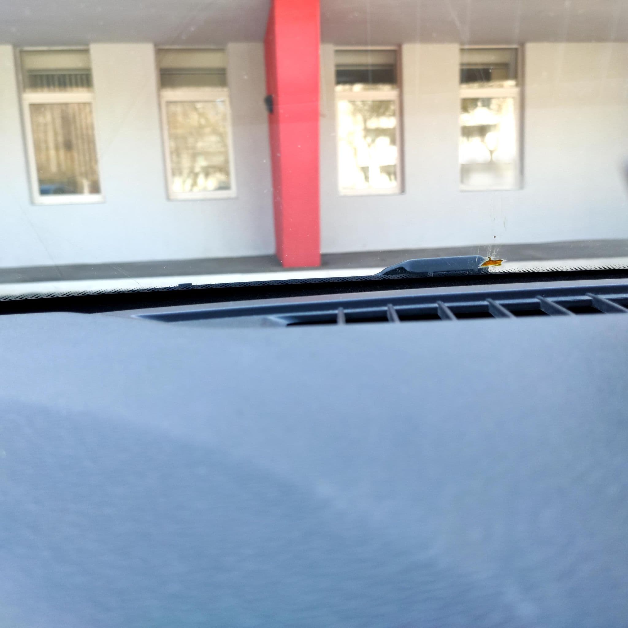 Street view near ДУБКИ ТЕРРИТОРИЯ ОТДЫХА, Samara — © phoneuploader (CC BY-SA · Mapillary)
