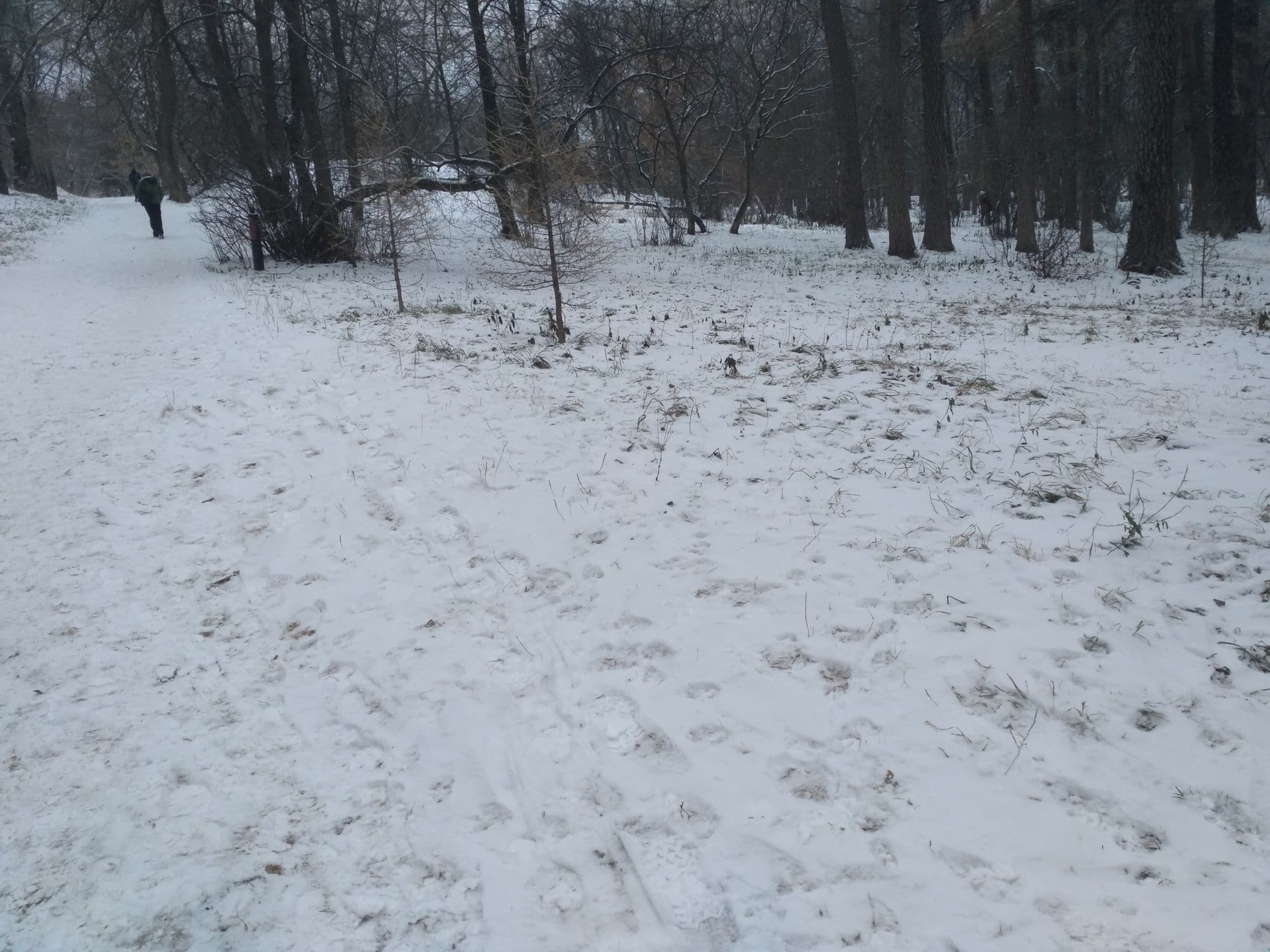 Street view near Номер 616, Yekaterinburg — © propsv (CC BY-SA · Mapillary)