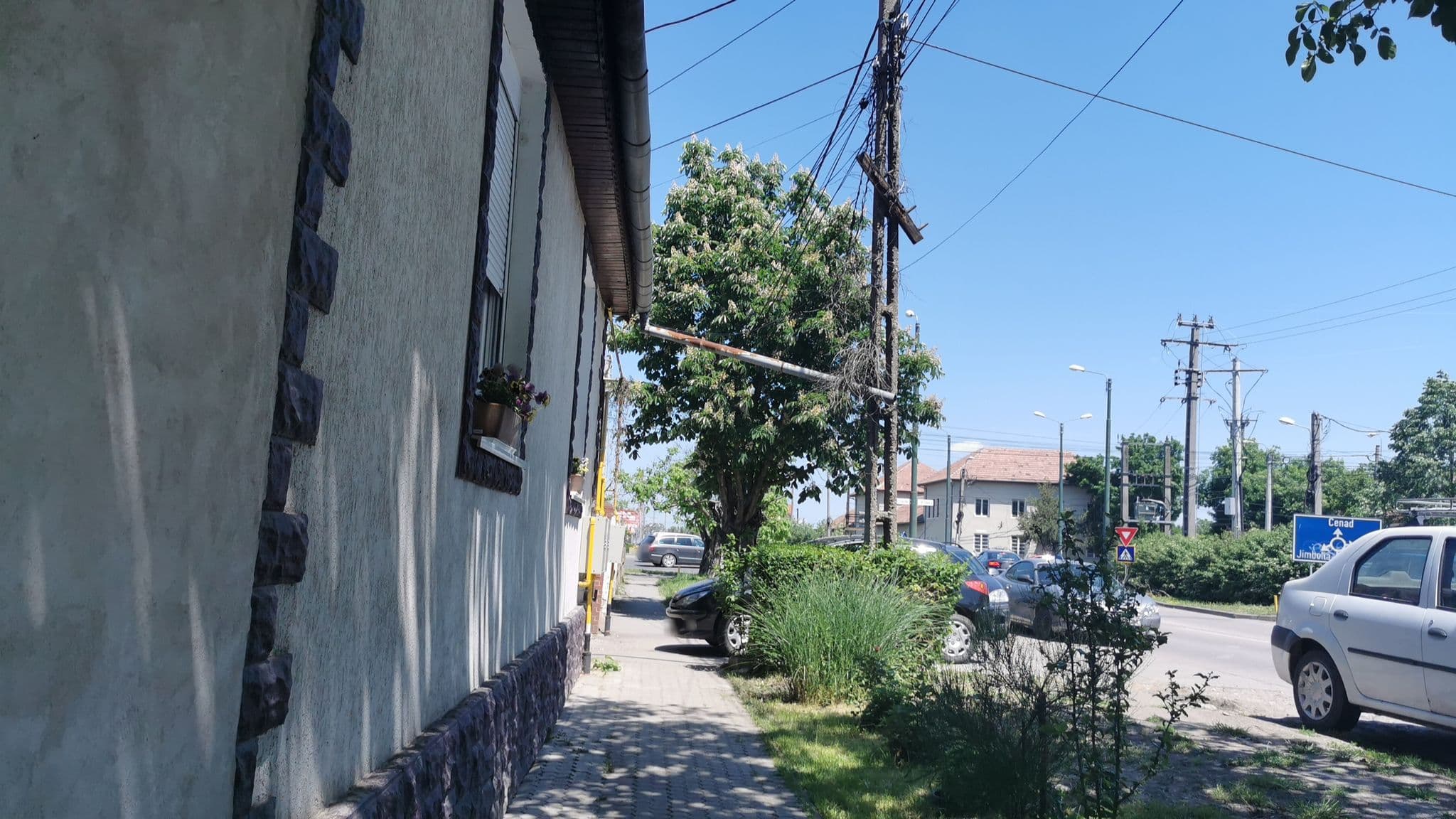 Street view near Pensiunea Doree, Timişoara — © hereflorin (CC BY-SA · Mapillary)