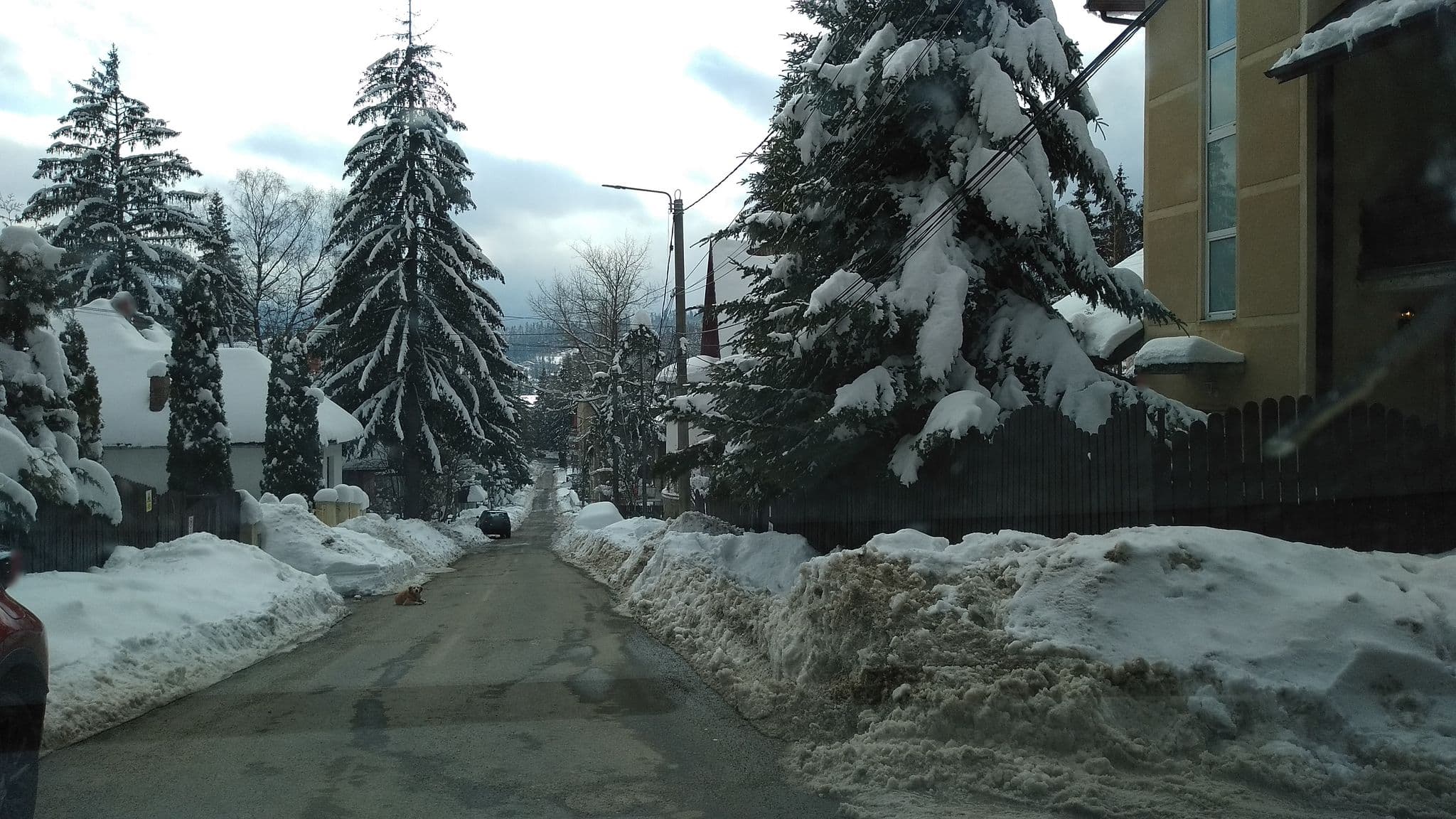 Street view near Pensiunea Florilor, Predeal — © tavi (CC BY-SA · Mapillary)