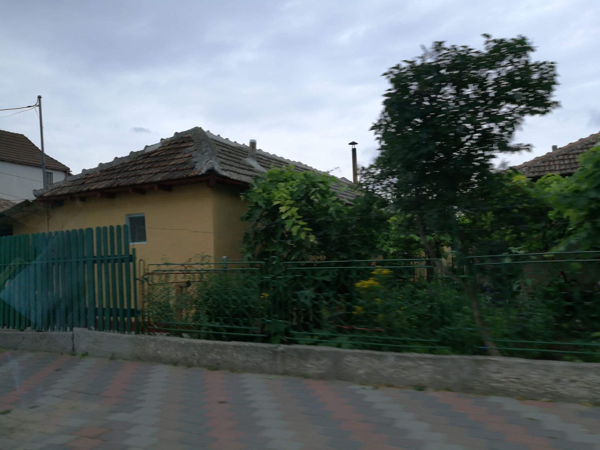 Street view near Vila Flores, Mangalia — © rsandu (CC BY-SA · Mapillary)