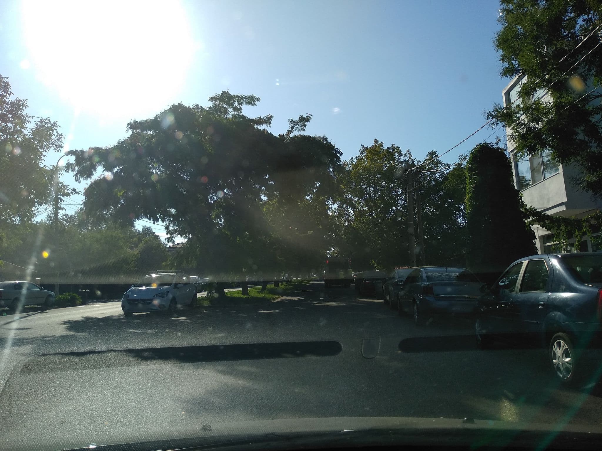 Street view near Pensiunea Bistriţa, Eforie Sud — © tavi (CC BY-SA · Mapillary)