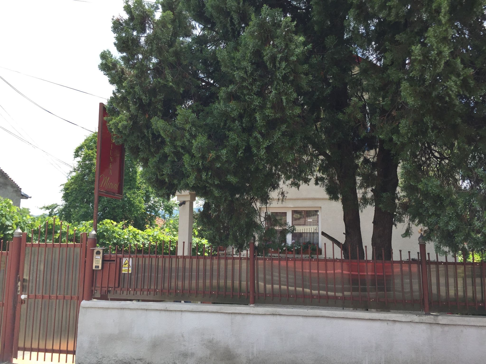 Street view near Pensiunea Mioval, Cluj-Napoca — © erika (CC BY-SA · Mapillary)