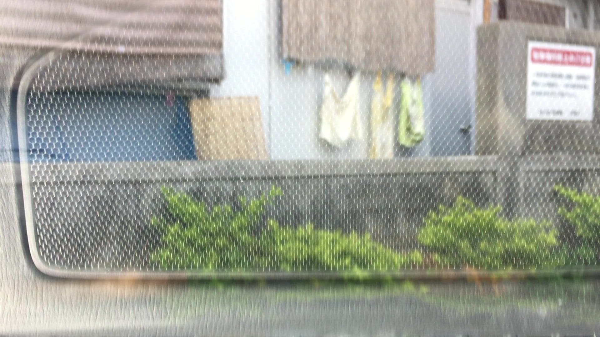 Street view near プール, Ishigaki — © lvl5 (CC BY-SA · Mapillary)