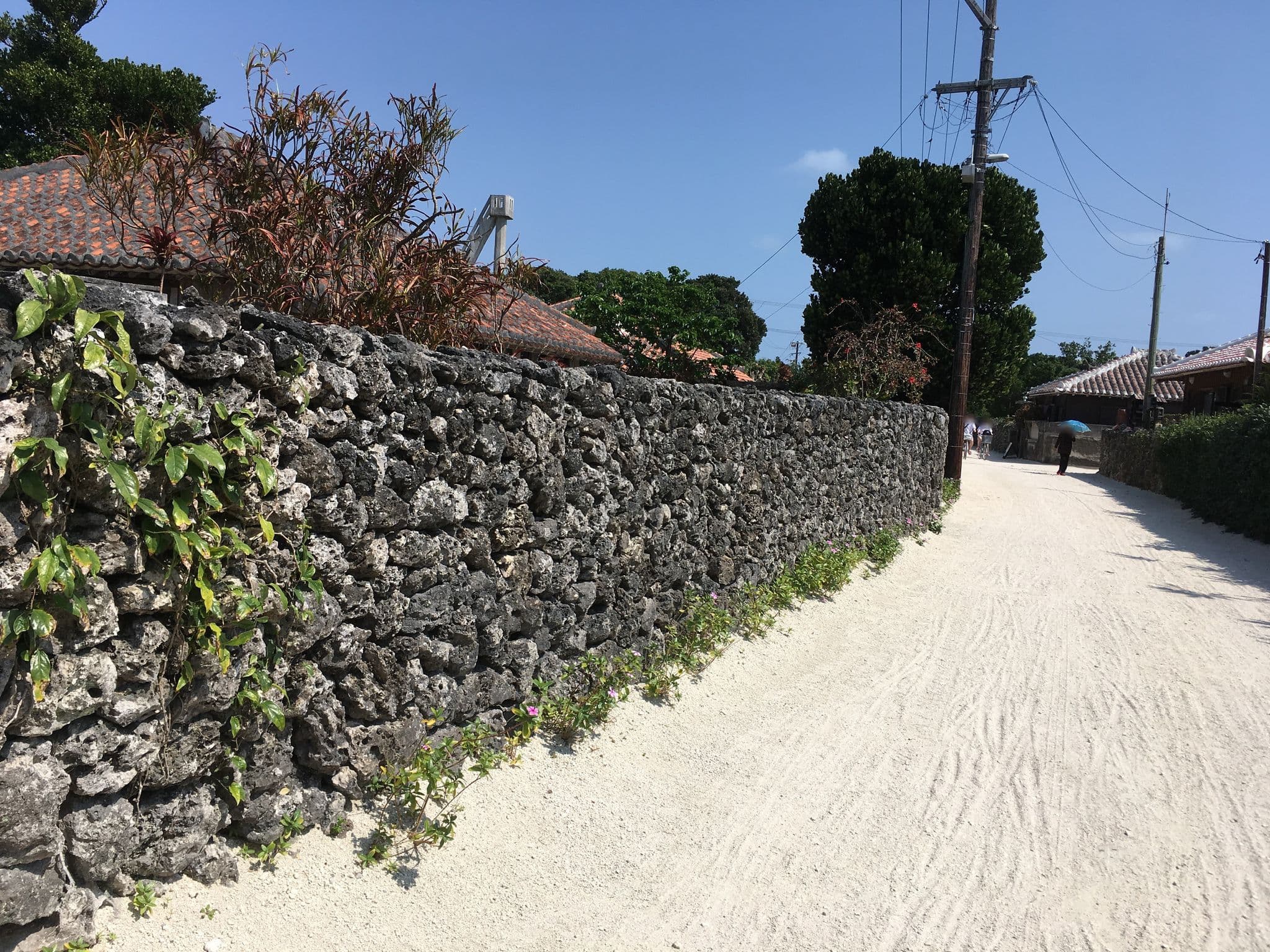 Street view near ちいさな島宿cago, Ishigaki — © mapconcierge (CC BY-SA · Mapillary)