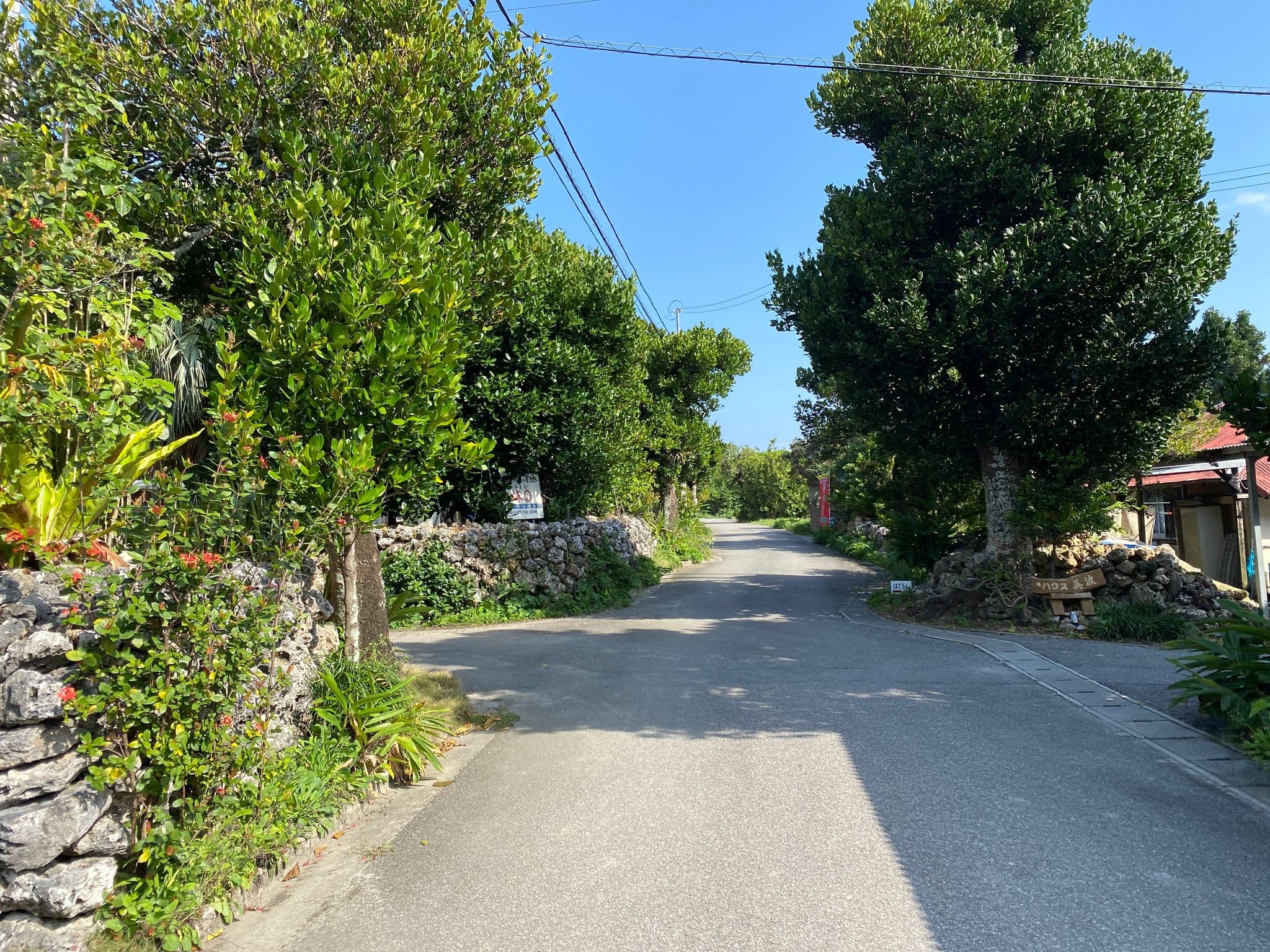 Street view near 勝連荘, Ishigaki — © geopooh (CC BY-SA · Mapillary)