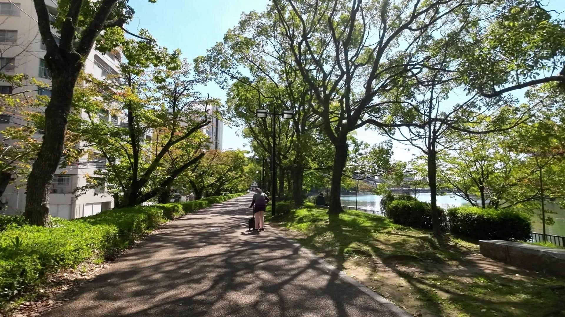Street view near スターダスト, Hiroshima — © drivephotograph (CC BY-SA · Mapillary)