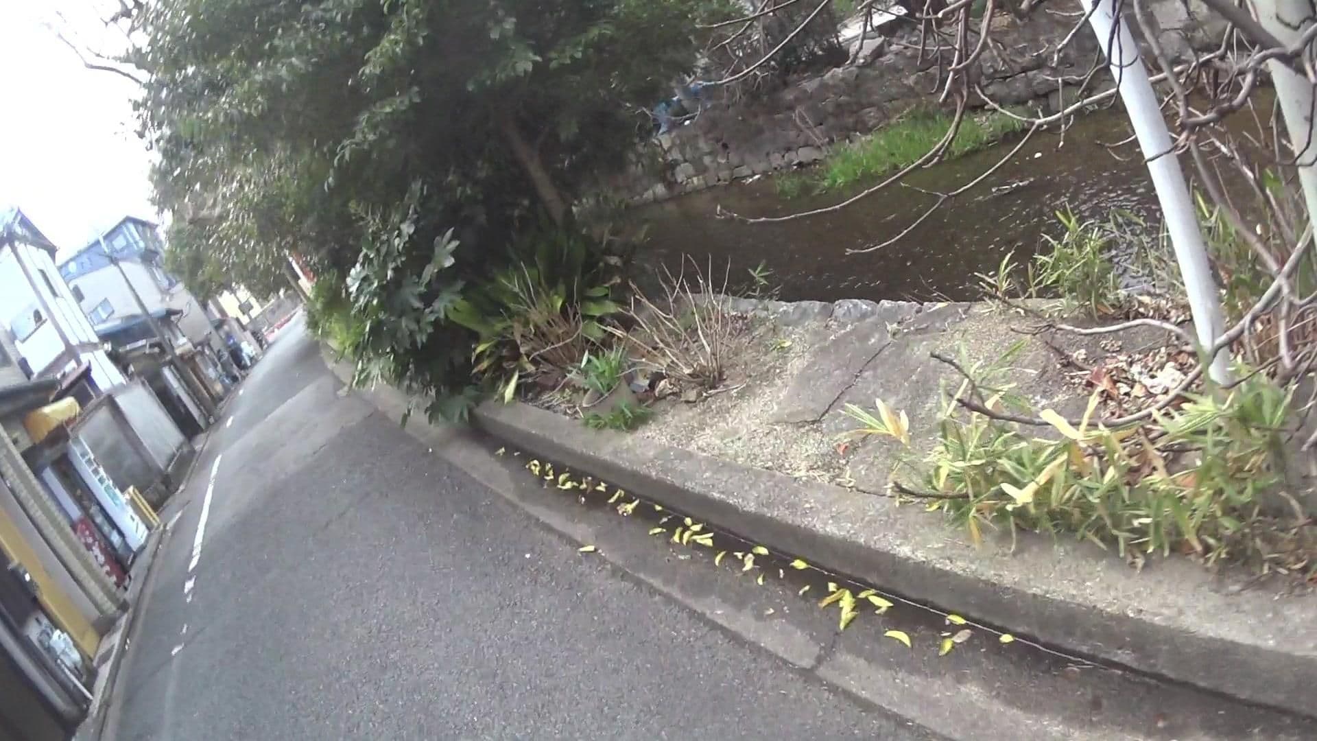 Street view near ホテルリブマックス京都鴨川前, Kyoto — © yasunari (CC BY-SA · Mapillary)