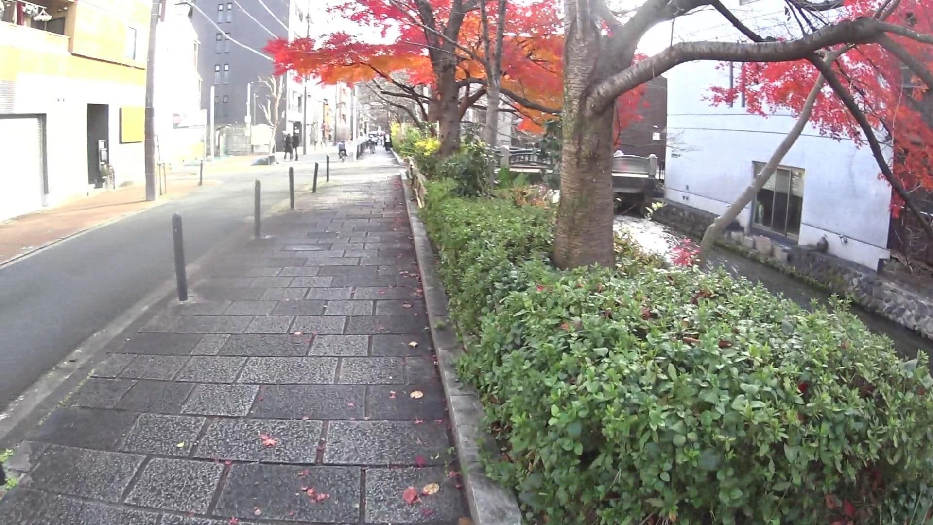 Street view near Gion Higashi House Chionin, Kyoto — © yasunari (CC BY-SA · Mapillary)