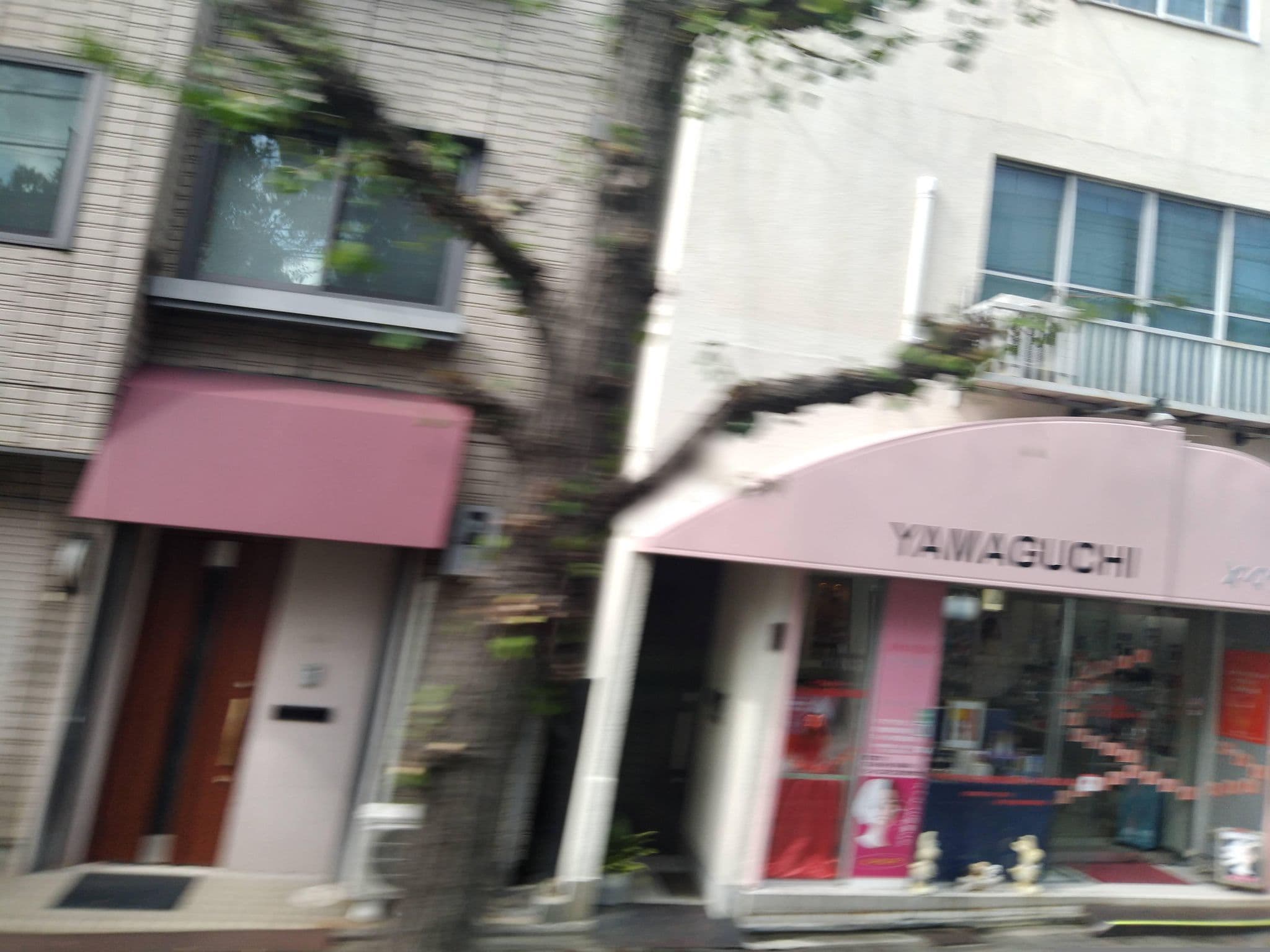 Street view near Matahari Annex Stay, Kamigyō-ku — © yasunari (CC BY-SA · Mapillary)