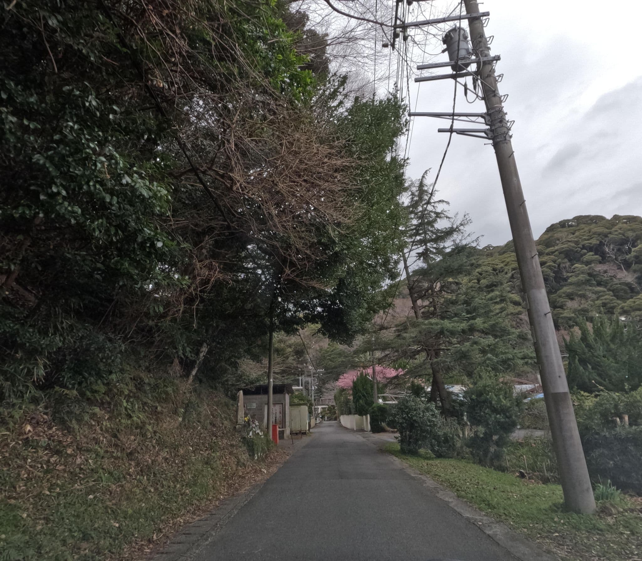 Street view near Gallery Court Ofa atu, Kawazu-ikadaba — © rsnaru (CC BY-SA · Mapillary)