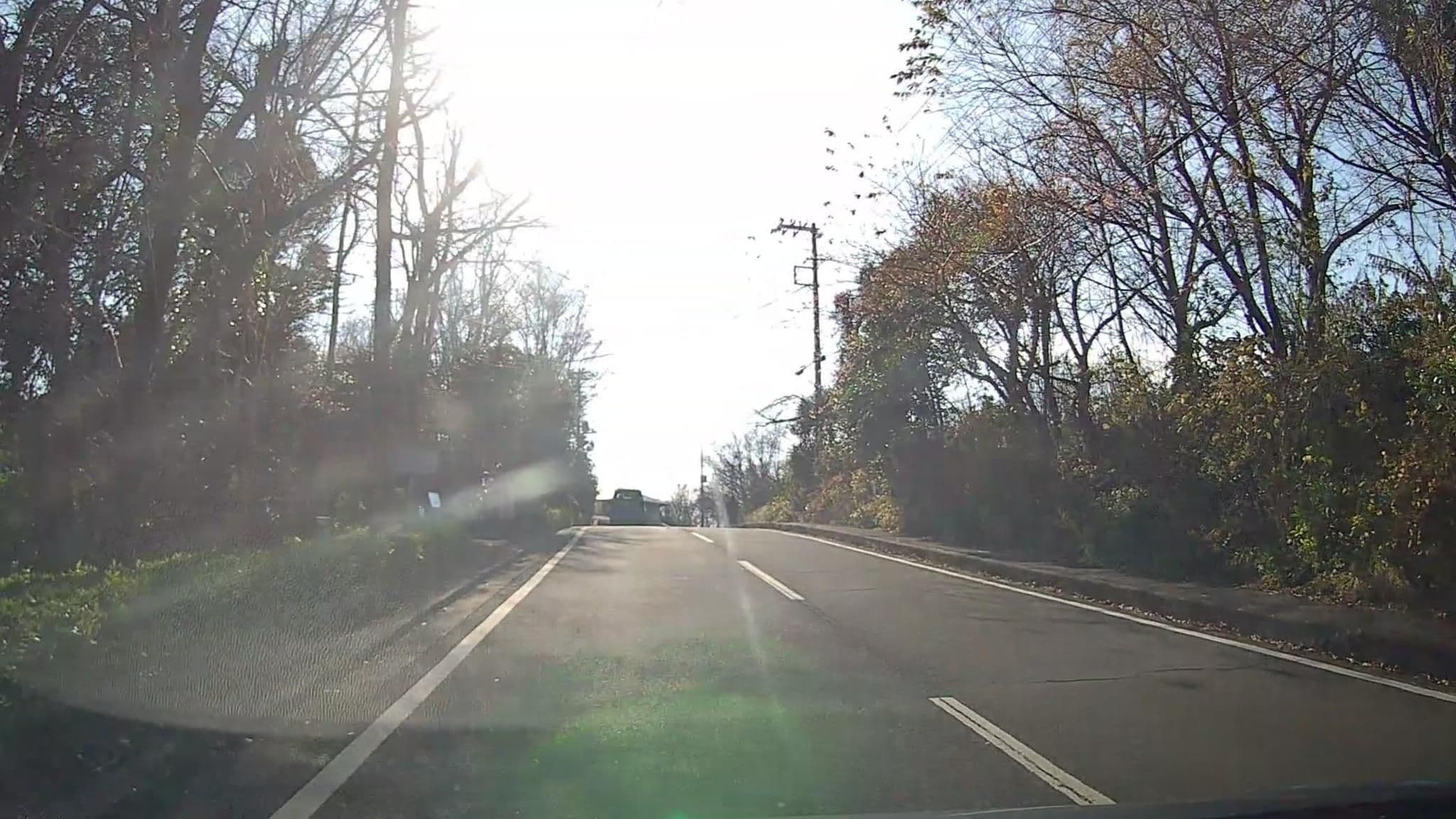 Street view near 伊豆高原 城ヶ崎温泉 花吹雪, Itō — © mzaki (CC BY-SA · Mapillary)