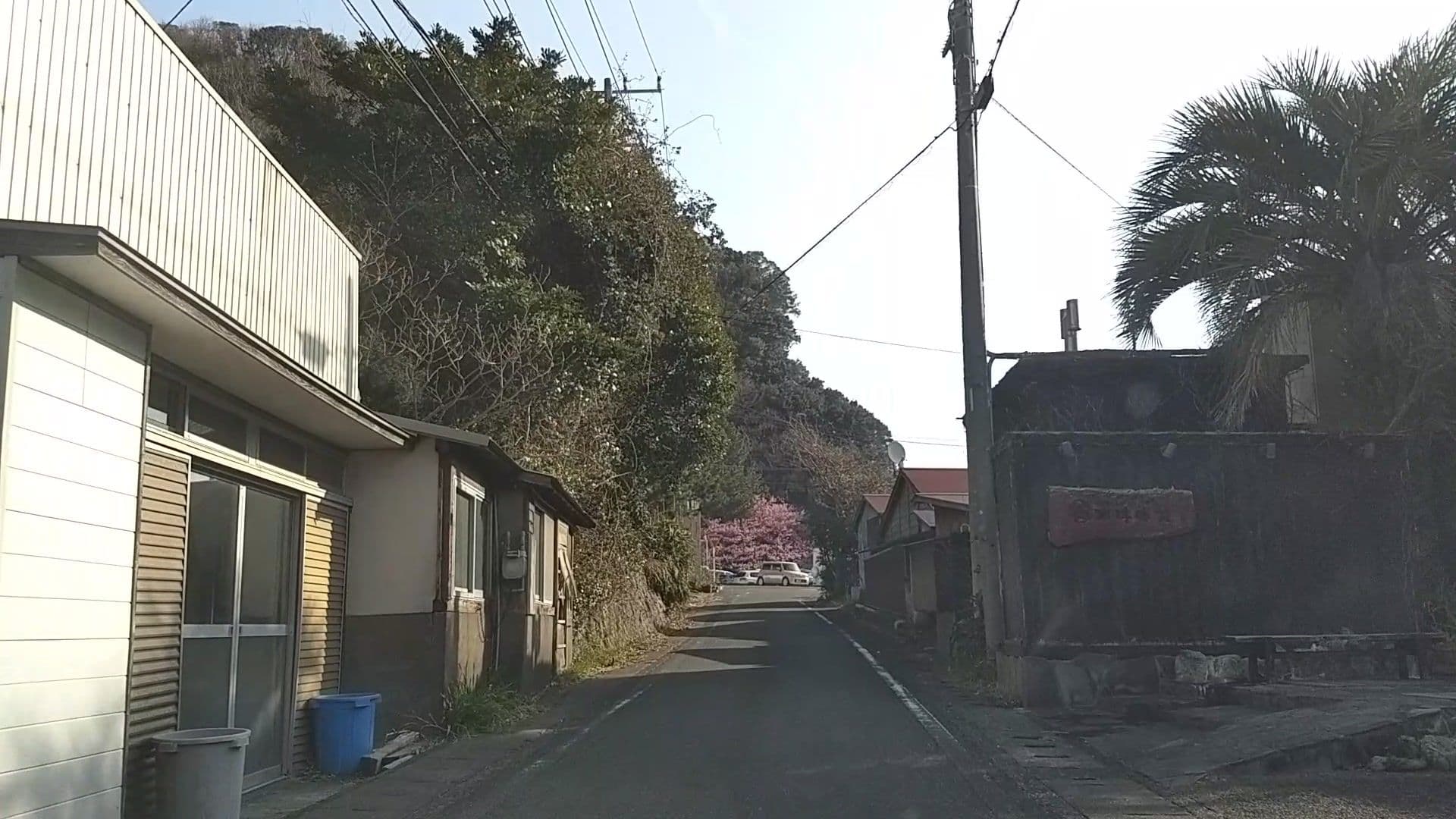 Street view near 河津海苑, Kawazu-ikadaba — © drivephotograph (CC BY-SA · Mapillary)