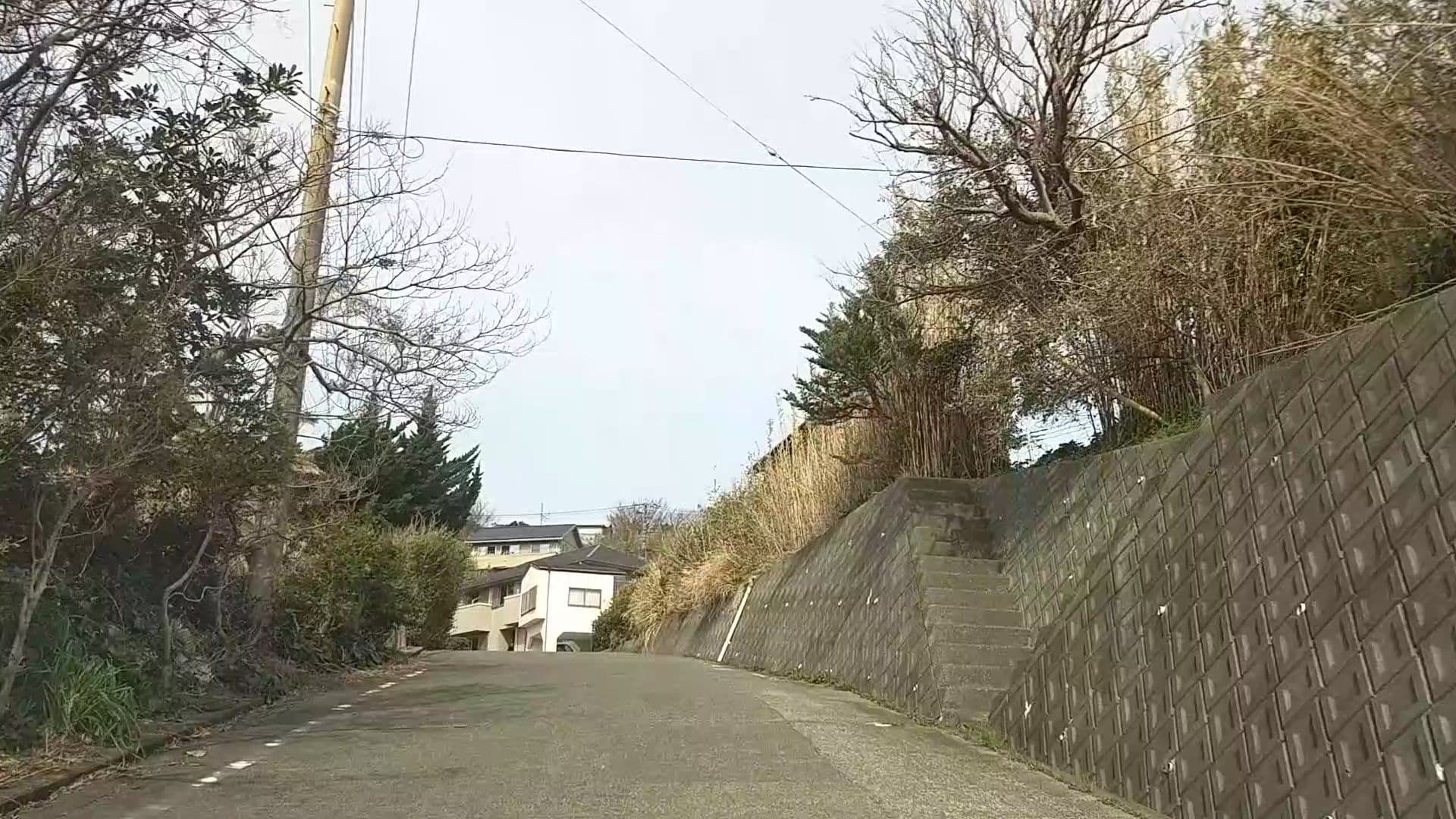 Street view near 民宿 亀屋, Kawazu-ikadaba — © drivephotograph (CC BY-SA · Mapillary)