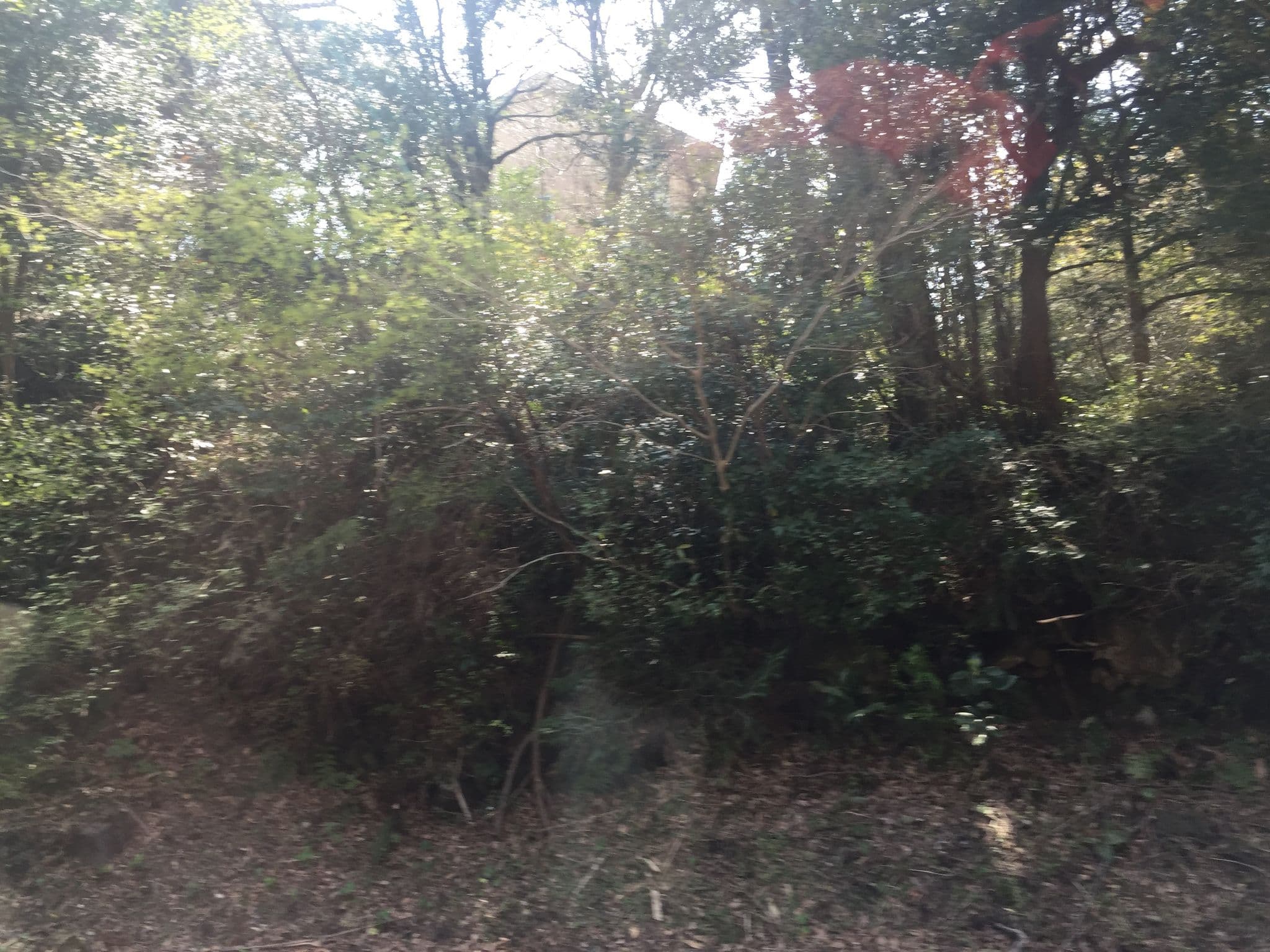 Street view near Petit Hotel Grandvert, Itō — © kouki (CC BY-SA · Mapillary)
