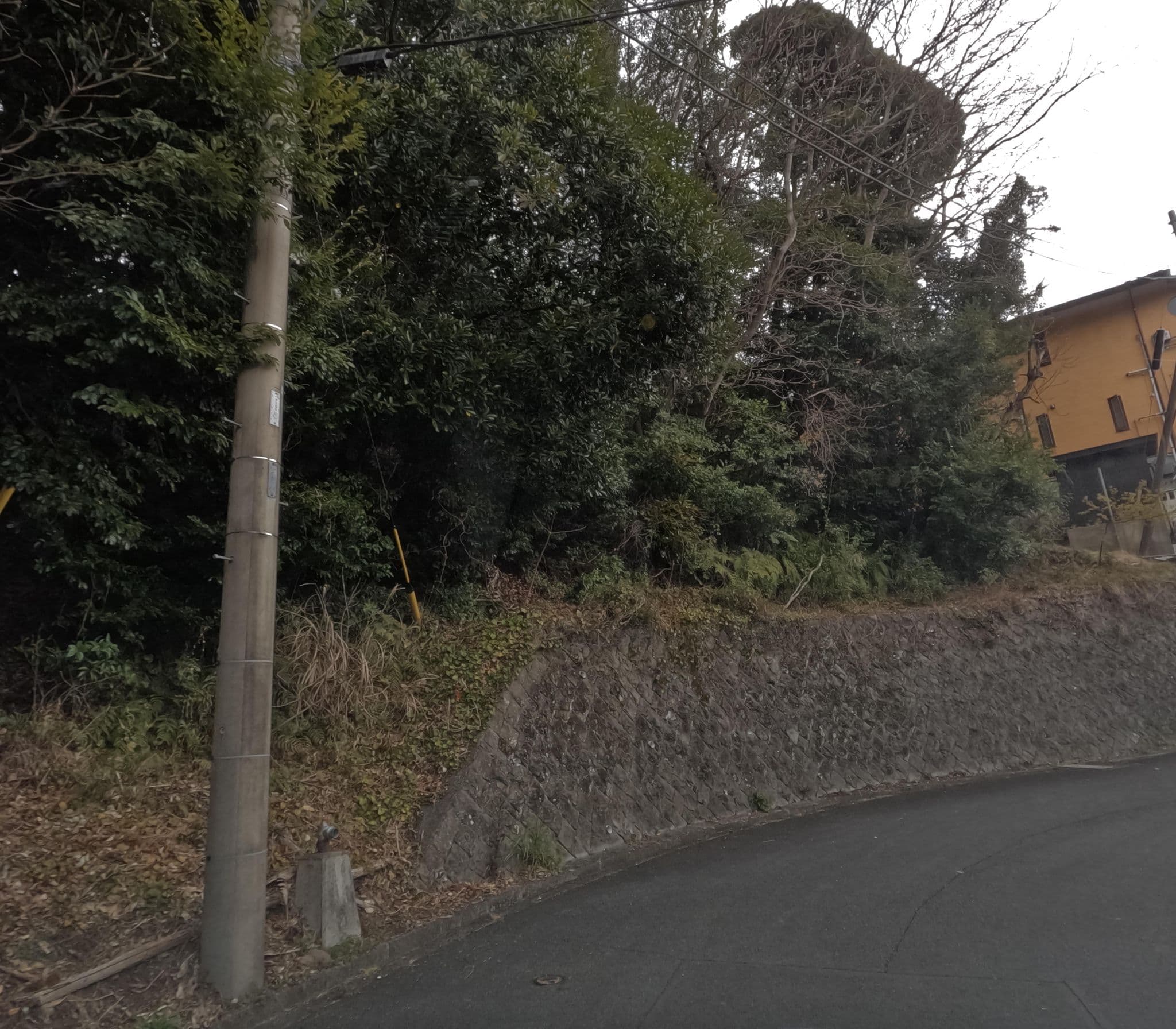 Street view near 花の風, Kawazu-ikadaba — © rsnaru (CC BY-SA · Mapillary)