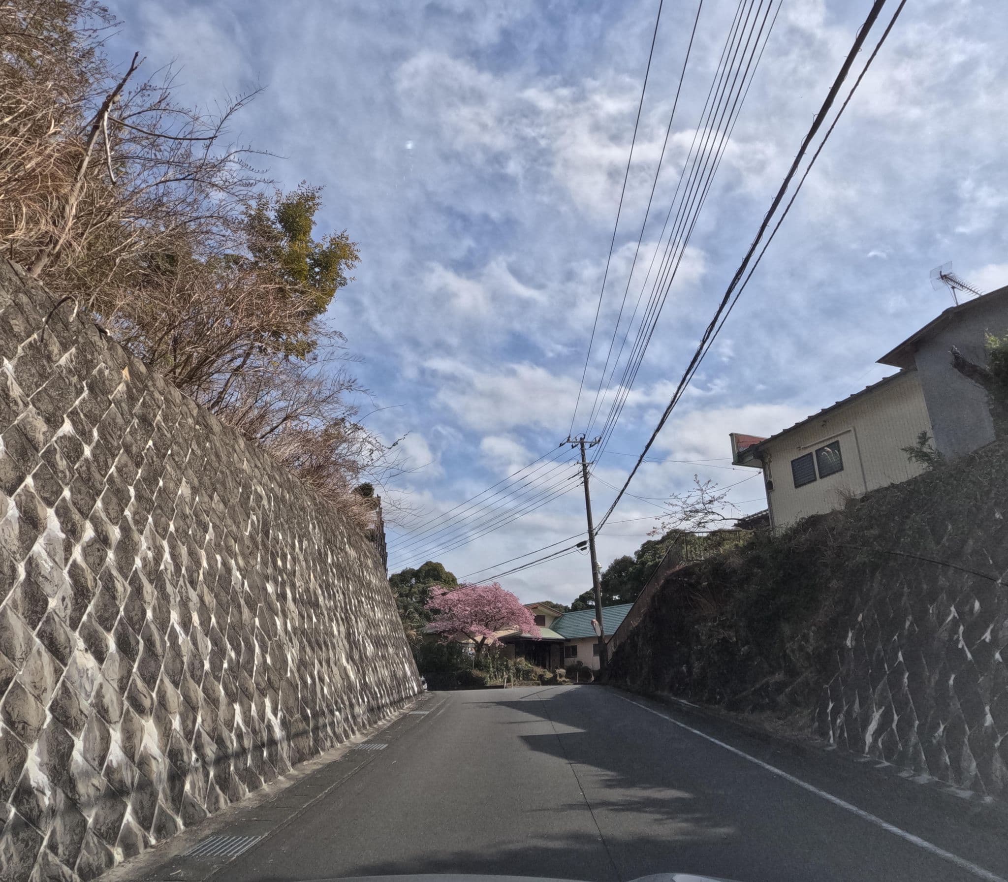 Street view near しゃくなげ荘, Kawazu-ikadaba — © rsnaru (CC BY-SA · Mapillary)