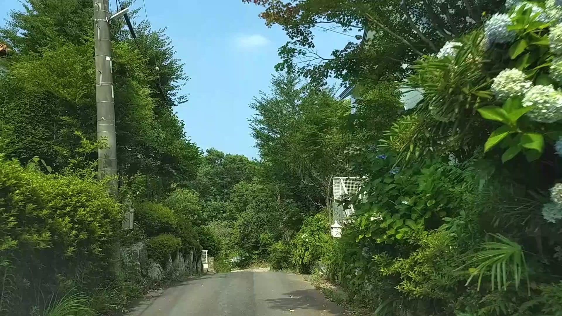 Street view near セラヴィリゾート泉郷 5C-15, Itō — © drivephotograph (CC BY-SA · Mapillary)
