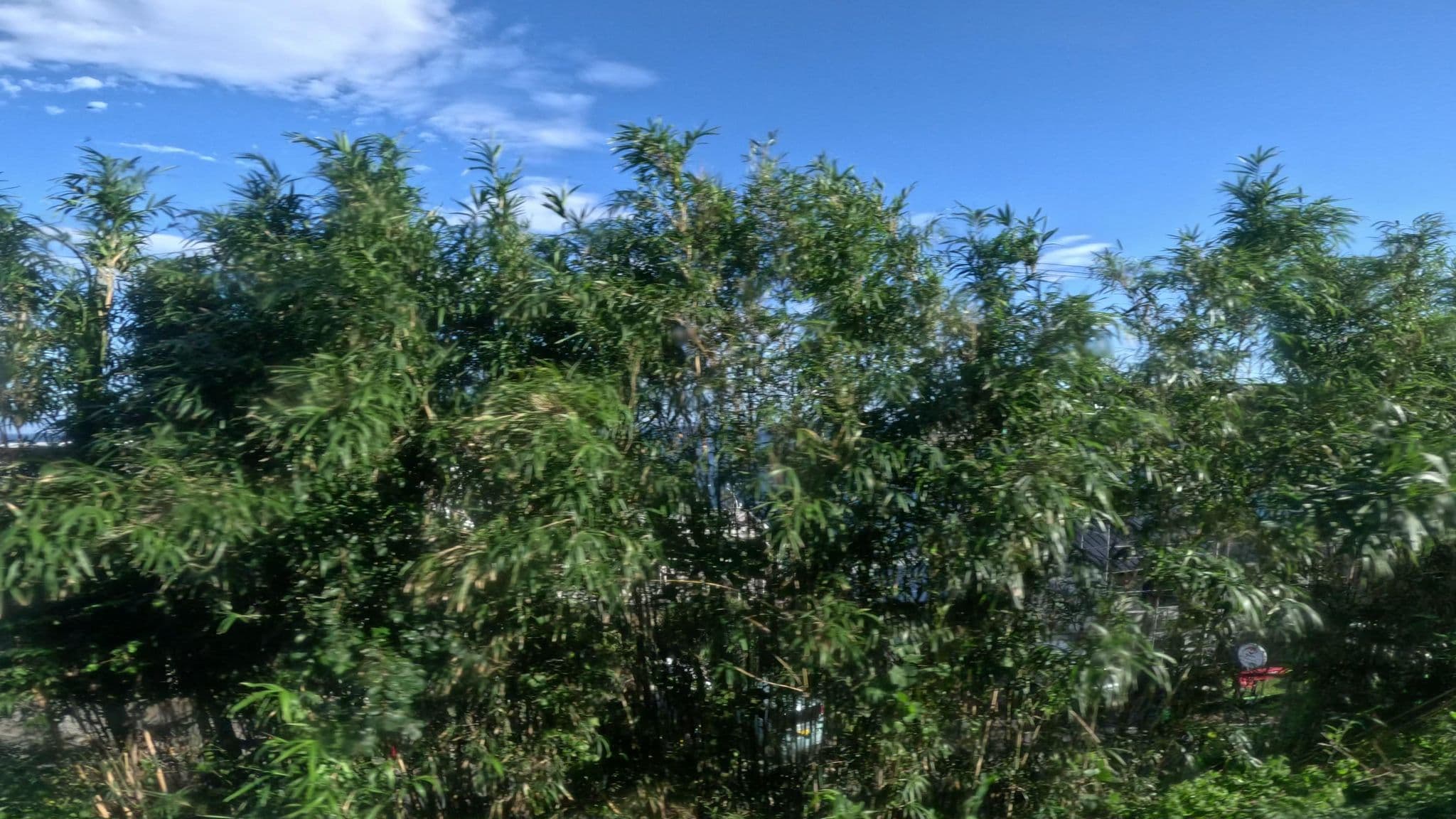 Street view near la-gom, Inatori — © okadatsuneo (CC BY-SA · Mapillary)