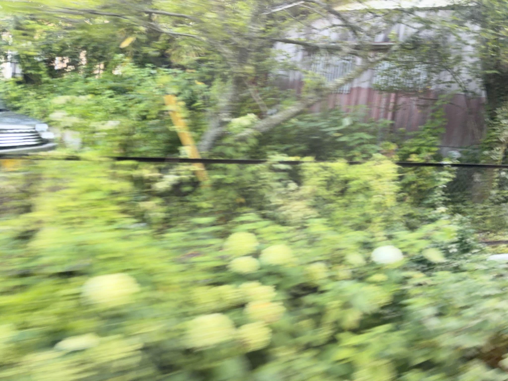 Street view near 大平台温泉 かぐや姫 湯の花, Hayakawa — © ChenJJ (CC BY-SA · Mapillary)