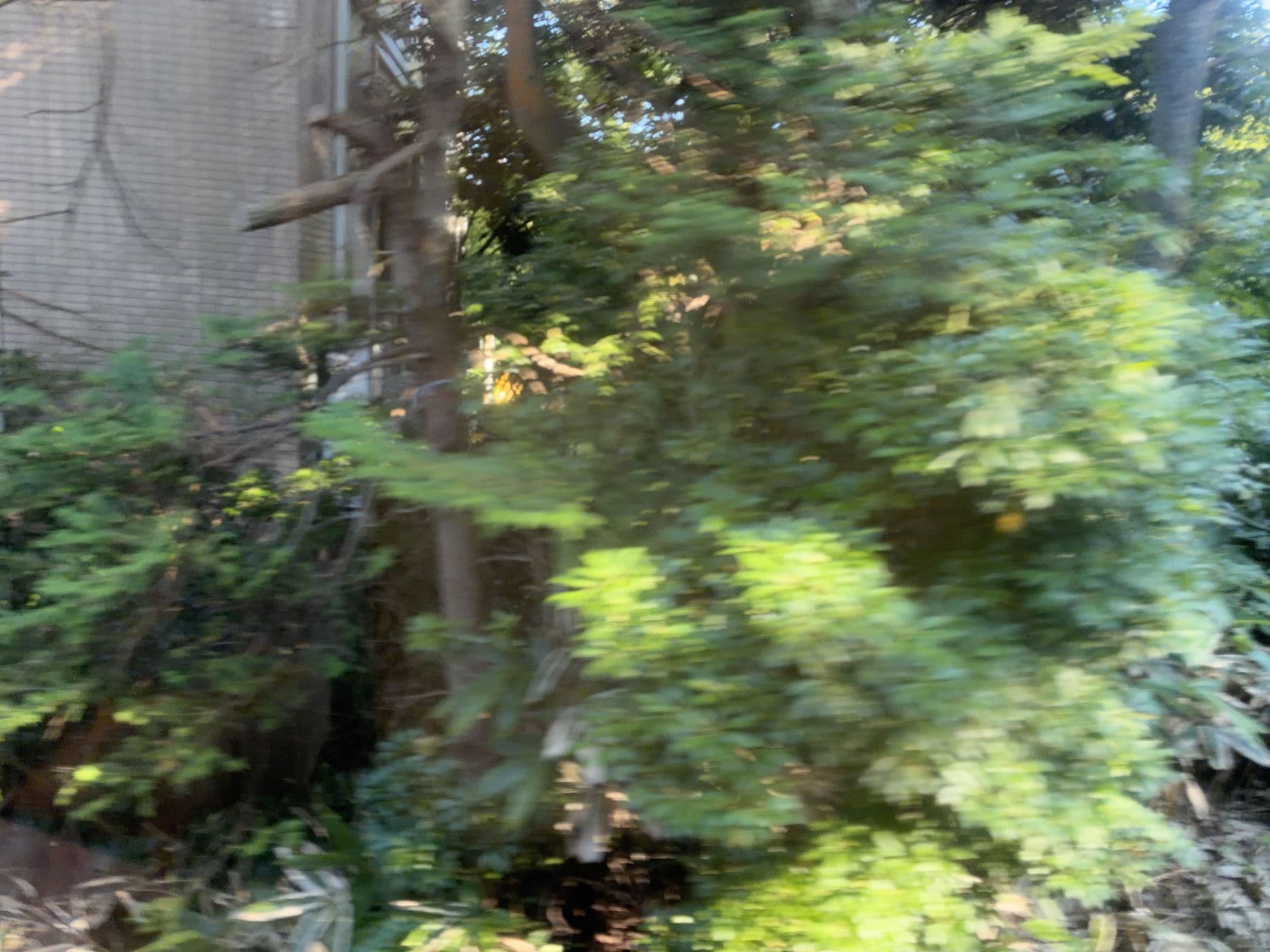 Street view near ゆとりろ庵ANNEX, Hakone — © ChenJJ (CC BY-SA · Mapillary)