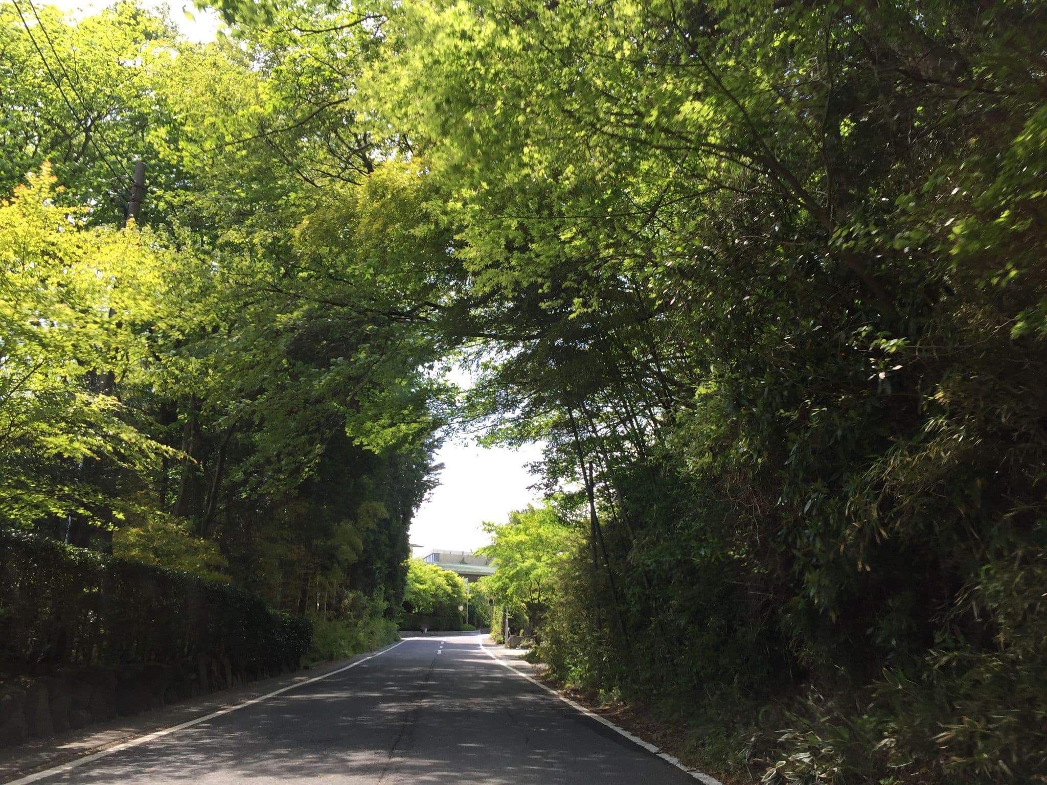 Street view near 東日本銀行健康保険組合強羅保養所, Hakone — © yaritsusozai (CC BY-SA · Mapillary)