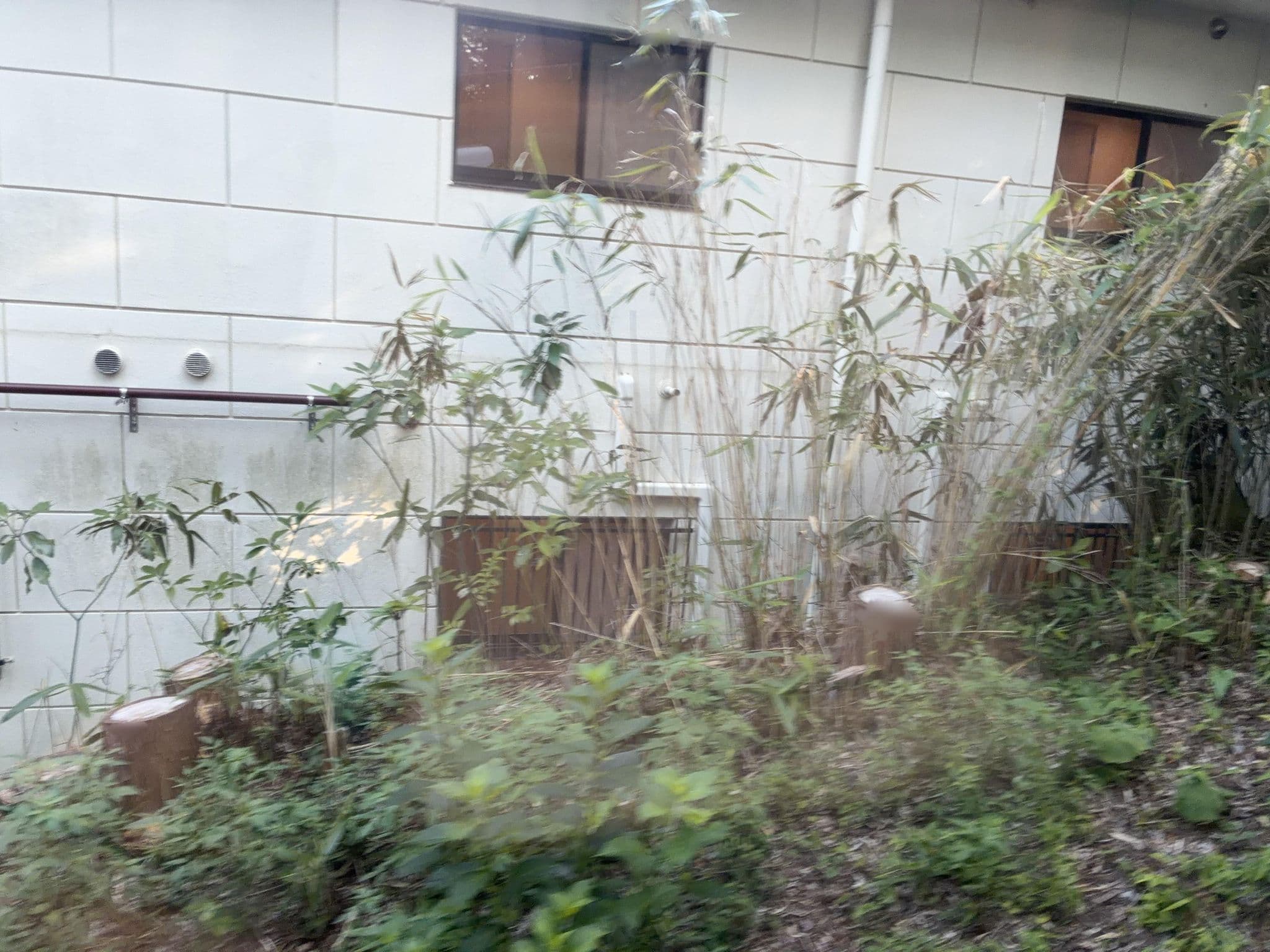 Street view near 東京都北区立市民保養所 はこね荘, Hakone — © ChenJJ (CC BY-SA · Mapillary)