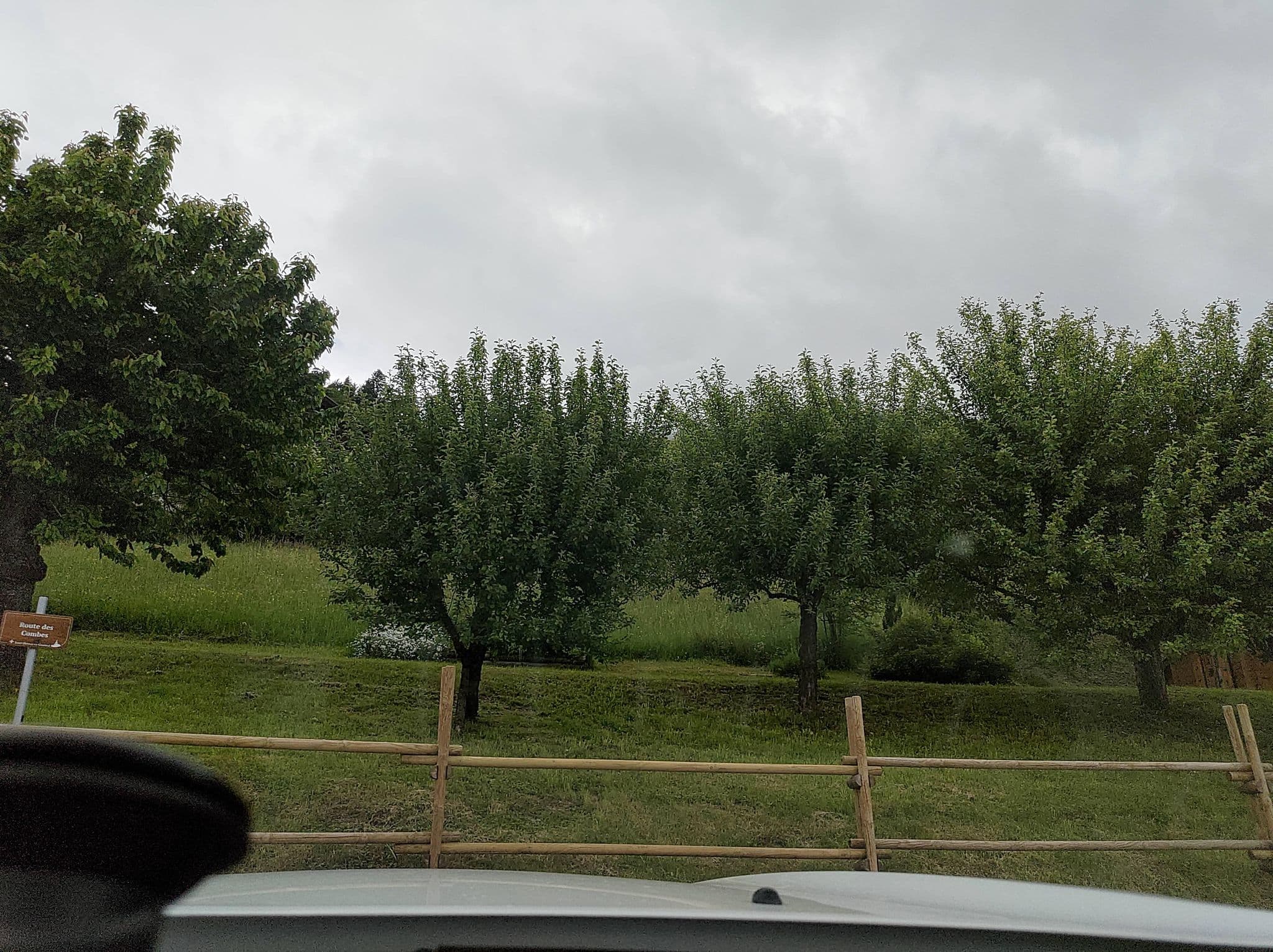 Street view near L'Eau Vive, Praz-sur-Arly — © MatthieuF4FNE (CC BY-SA · Mapillary)