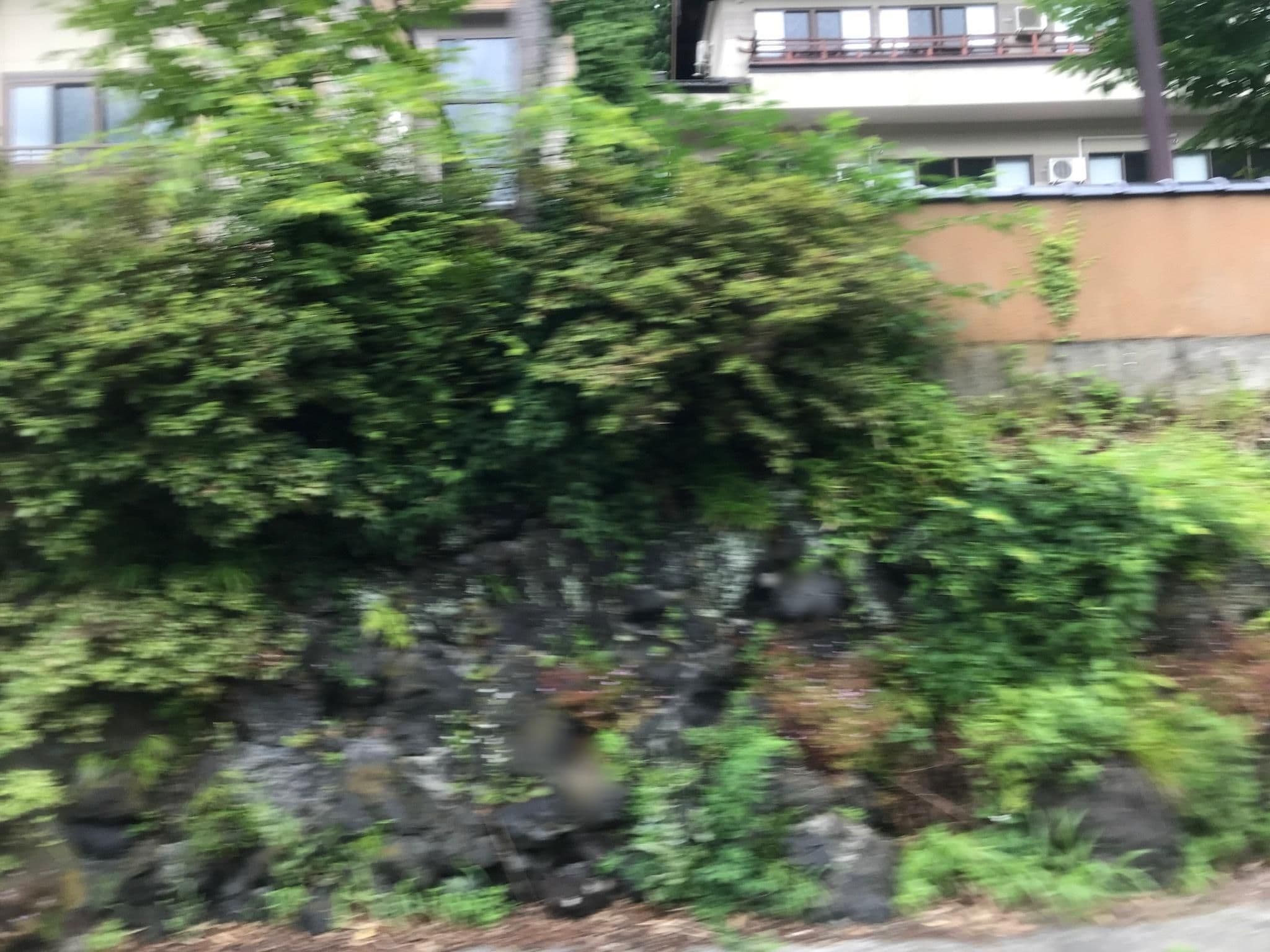 Street view near 旅館みやま, Minakami — © musashino5 (CC BY-SA · Mapillary)