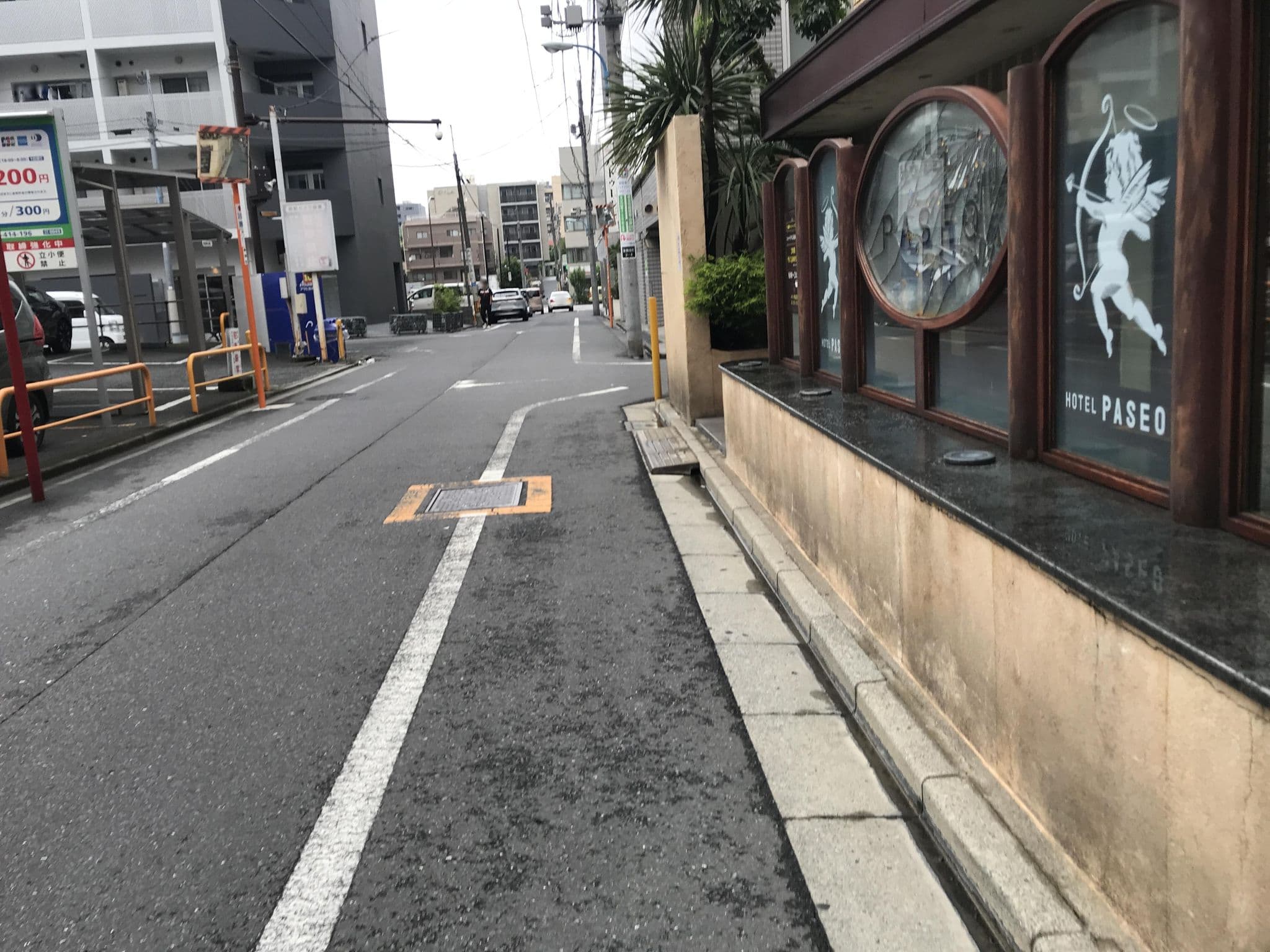 Street view near PASEO, Kabukicho — © musashino5 (CC BY-SA · Mapillary)