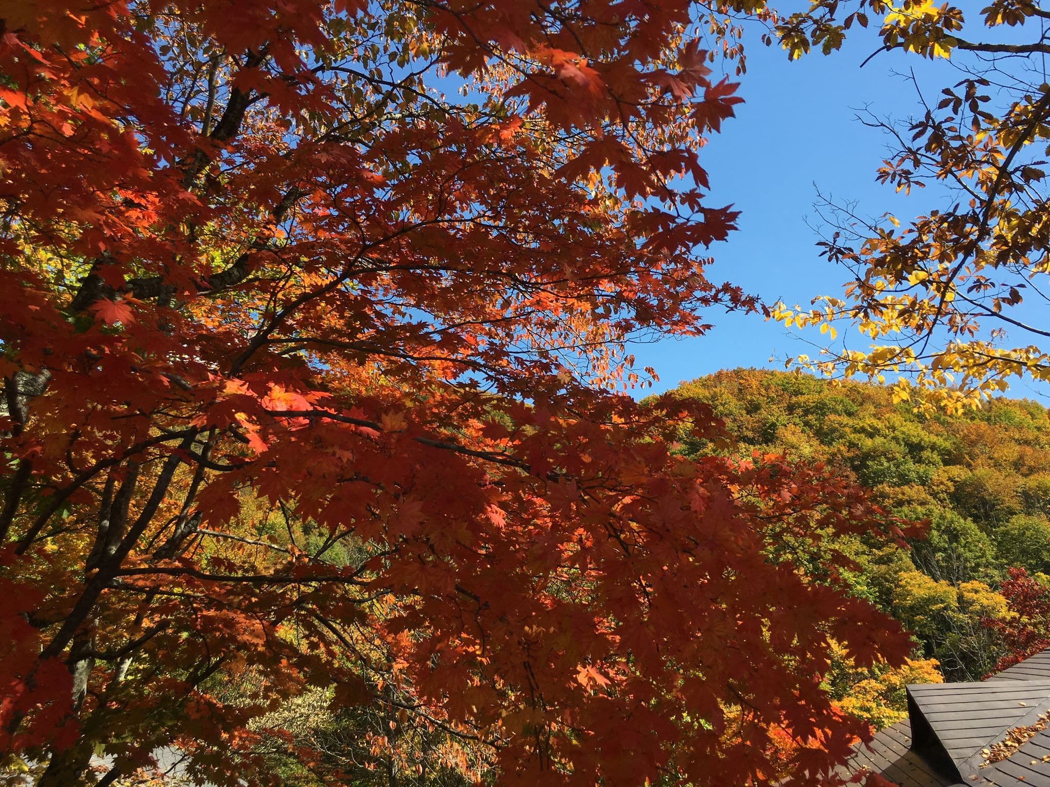 Street view near ペンション バディ, Ōshio — © marikocco (CC BY-SA · Mapillary)