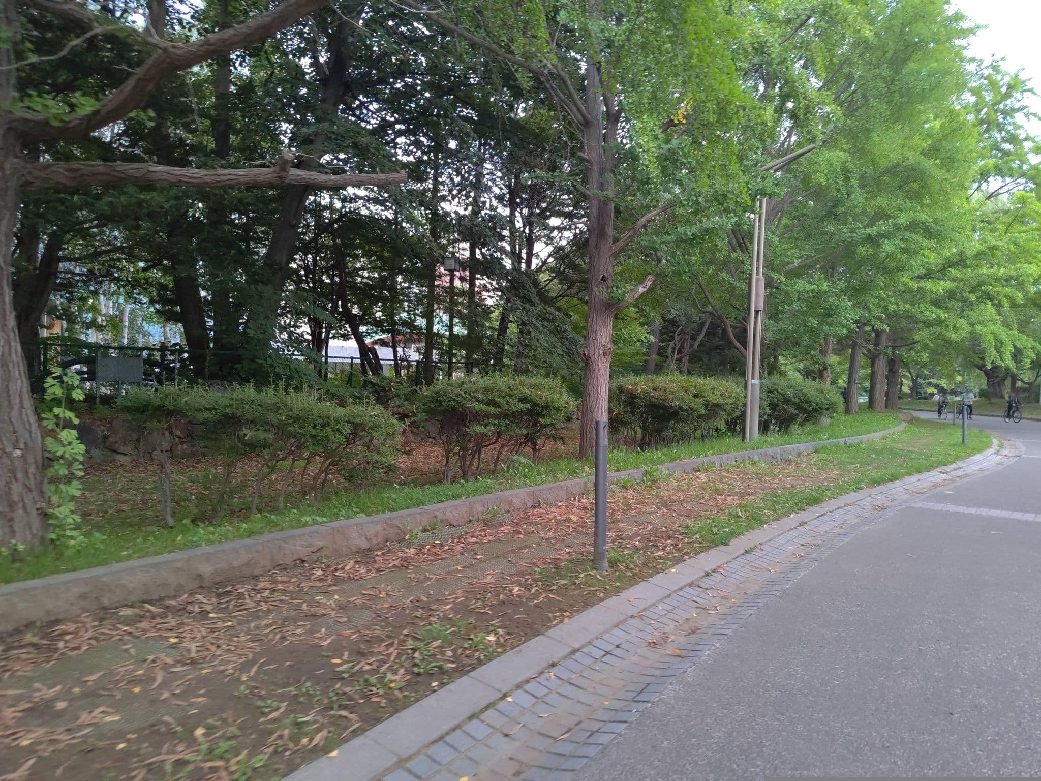 Street view near 札幌パークホテル, Sapporo — © komali2 (CC BY-SA · Mapillary)