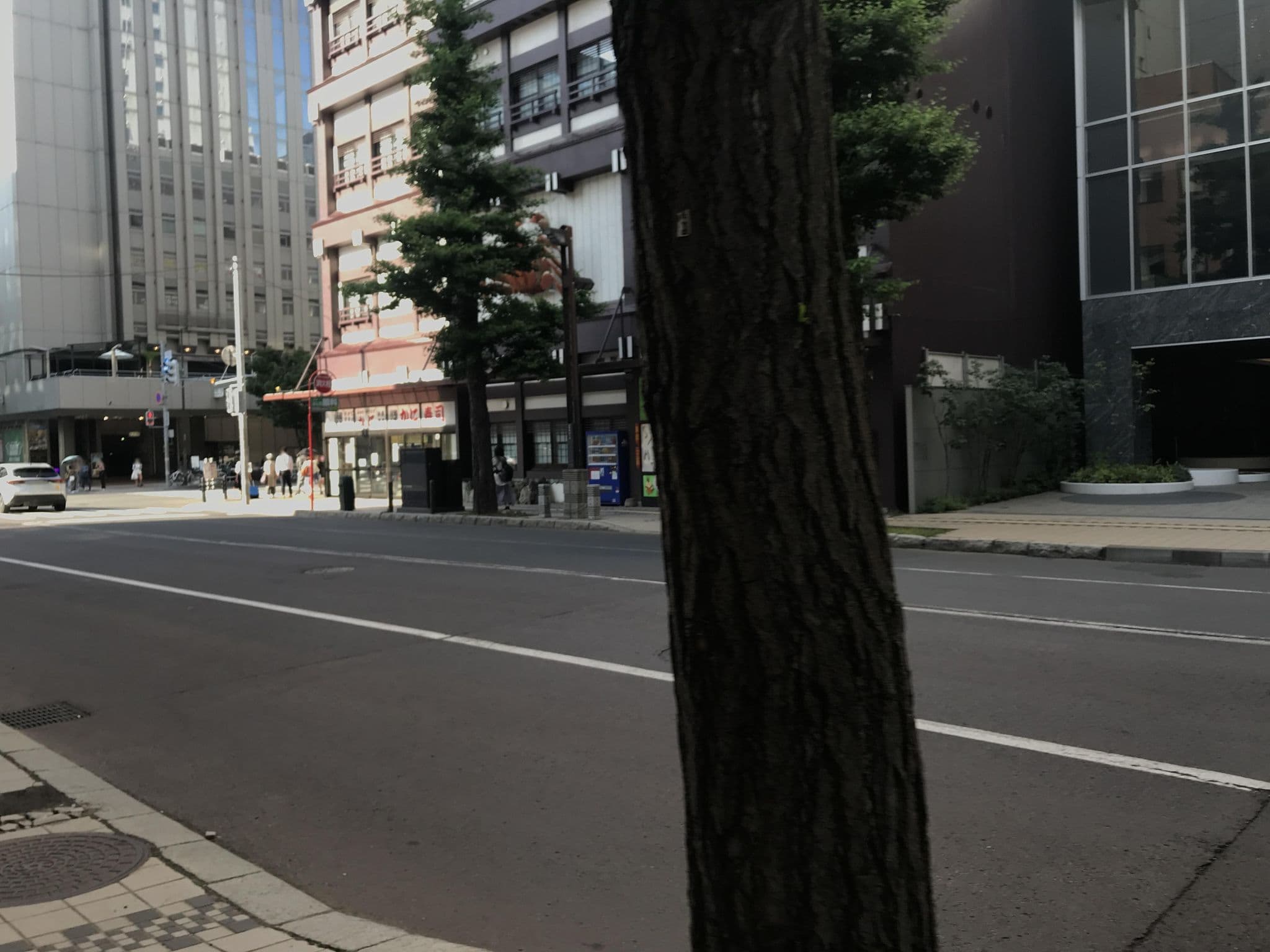 Street view near ホテルフォルツァ 札幌駅前, Sapporo — © musashino5 (CC BY-SA · Mapillary)
