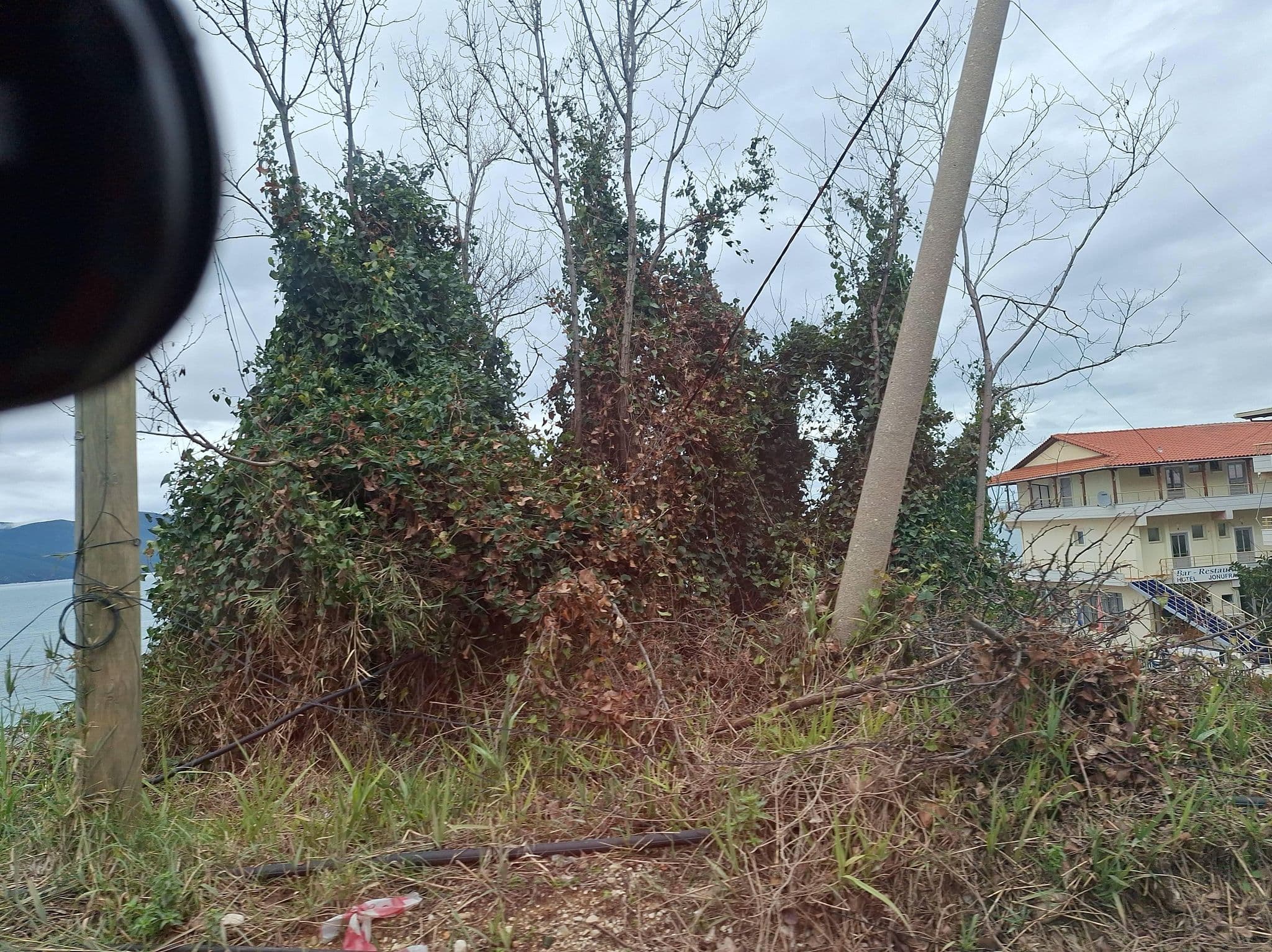 Street view near HOTEL Palma Nova, Vlorë — © denisju_osm (CC BY-SA · Mapillary)