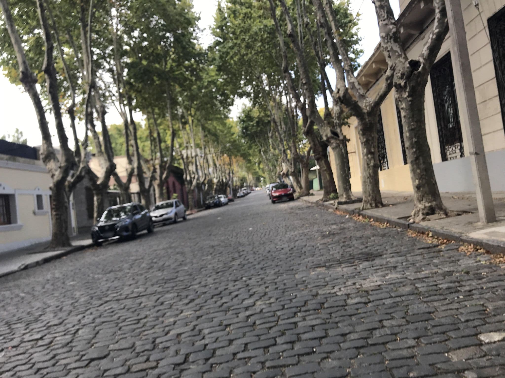 Street view near Posada Don Antonio, Colonia del Sacramento — © miguel_andrade (CC BY-SA · Mapillary)