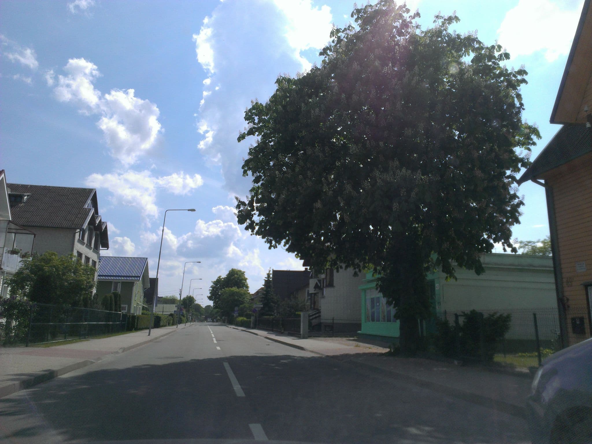 Street view near Villa Levita, Palanga — © anabioze (CC BY-SA · Mapillary)