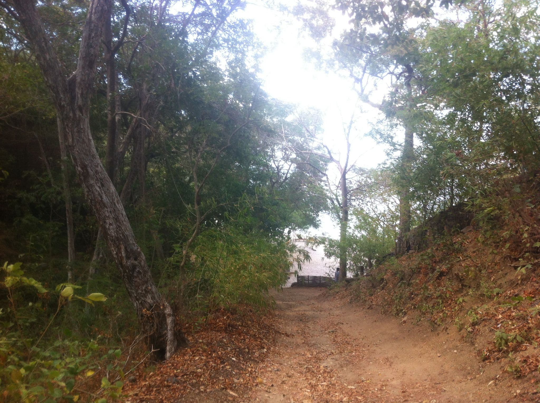 Street view near Sapote Treehouse, Tola — © lumi (CC BY-SA · Mapillary)