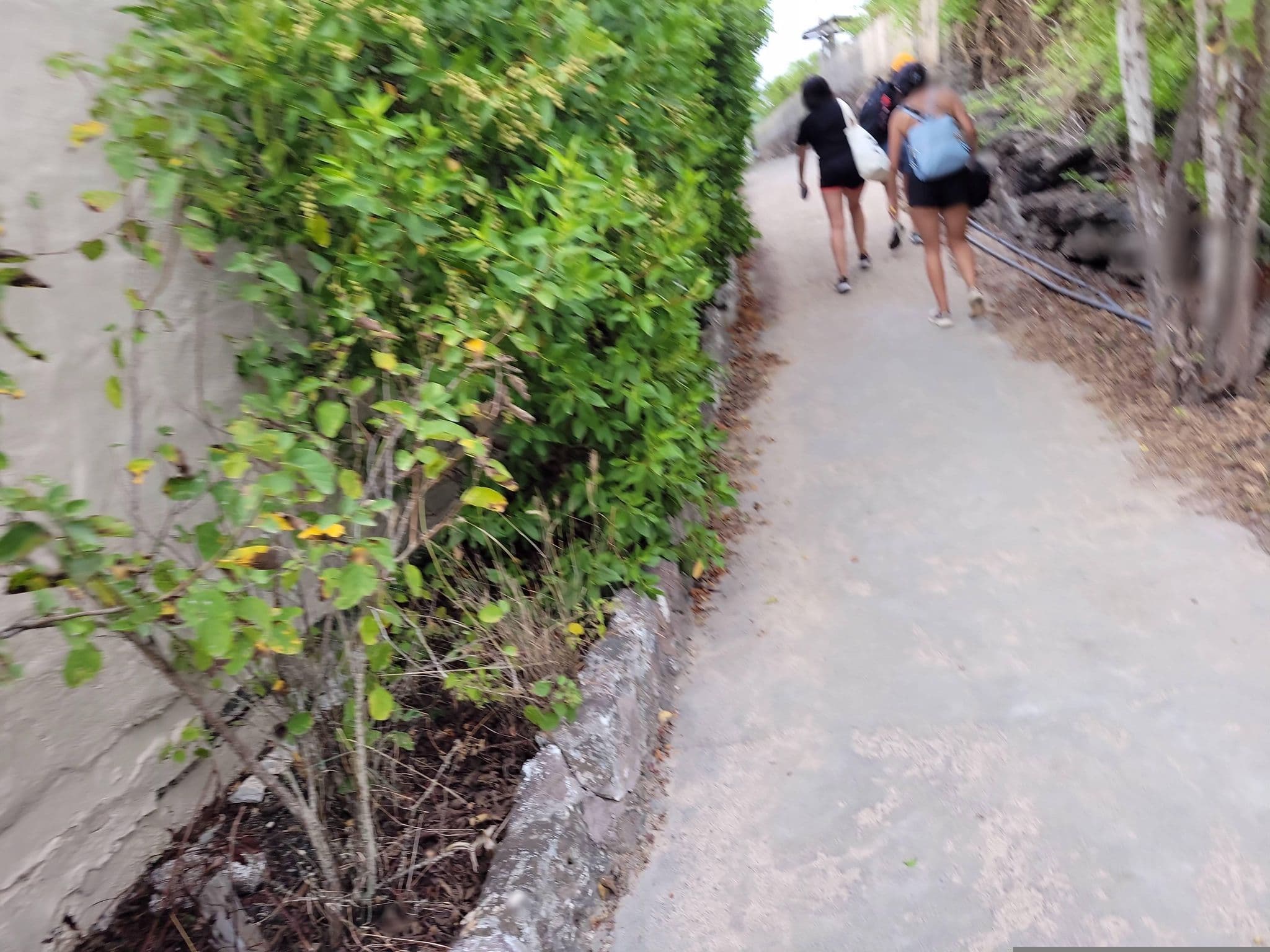 Street view near Chalet Galapagos, Puerto Ayora — © mlpz (CC BY-SA · Mapillary)