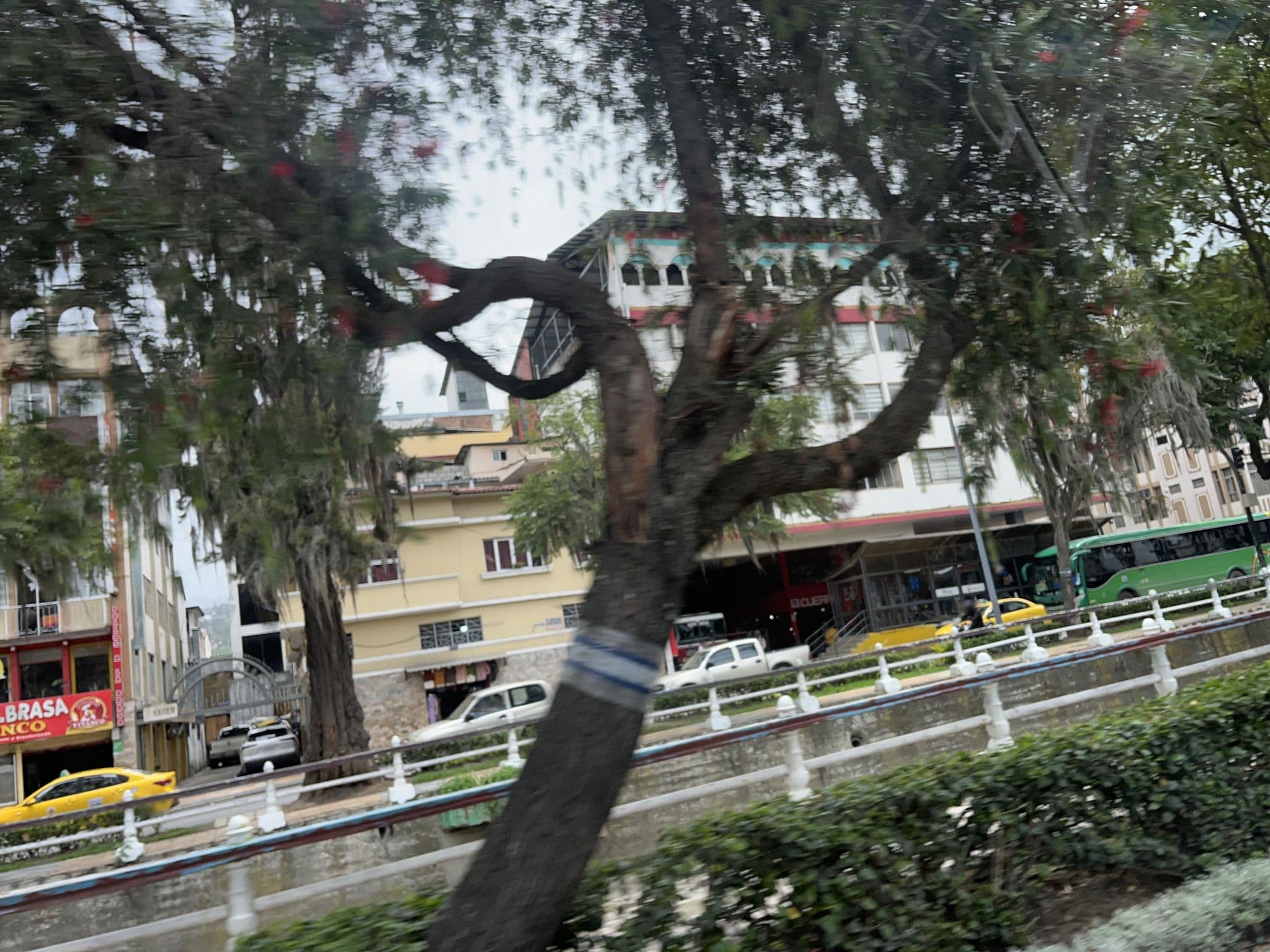Street view near Hotel Saraguro, Loja — © DanielaLeyton17 (CC BY-SA · Mapillary)