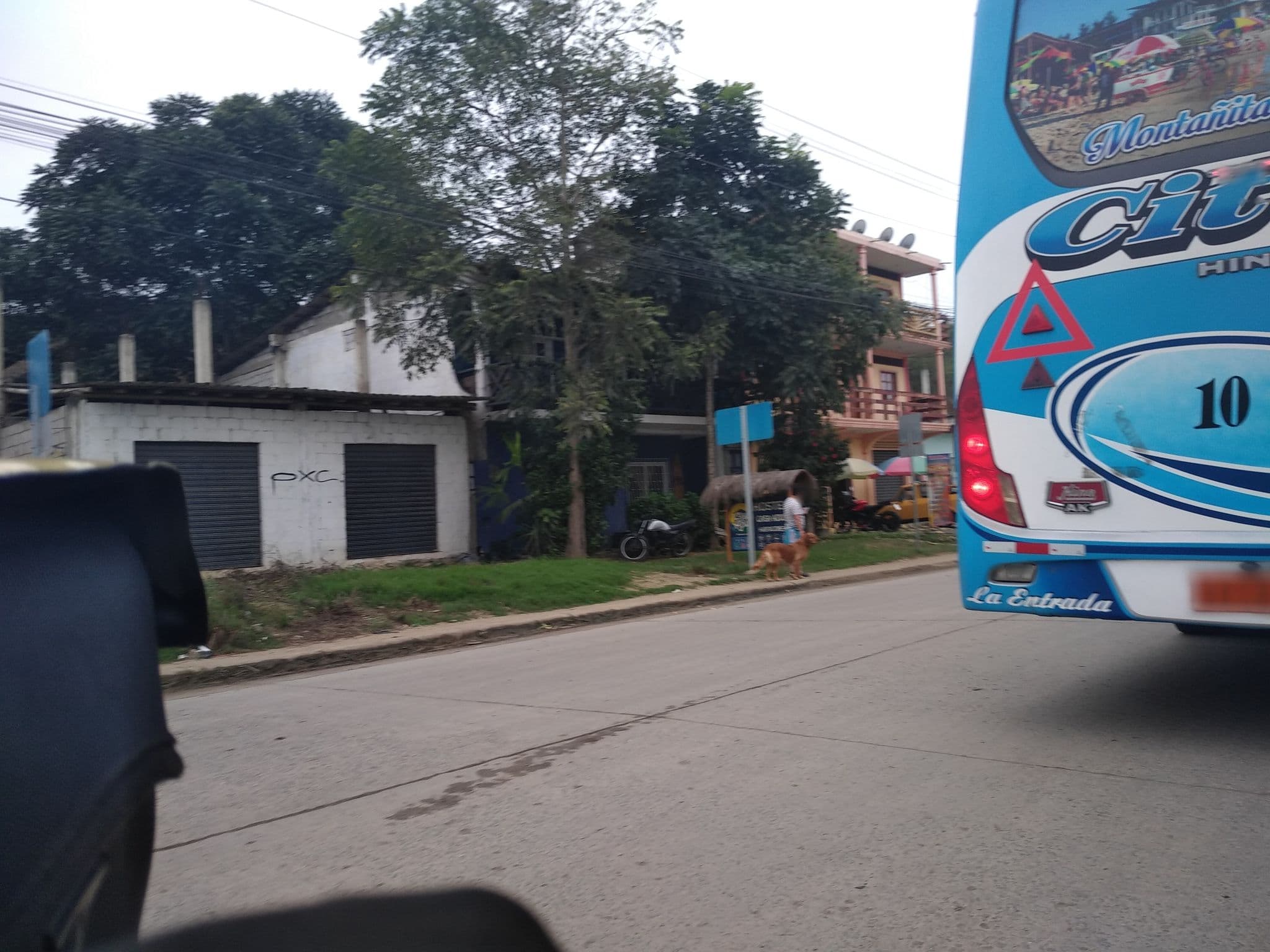 Street view near Casa azul, Santa Elena — © nomadmapper (CC BY-SA · Mapillary)