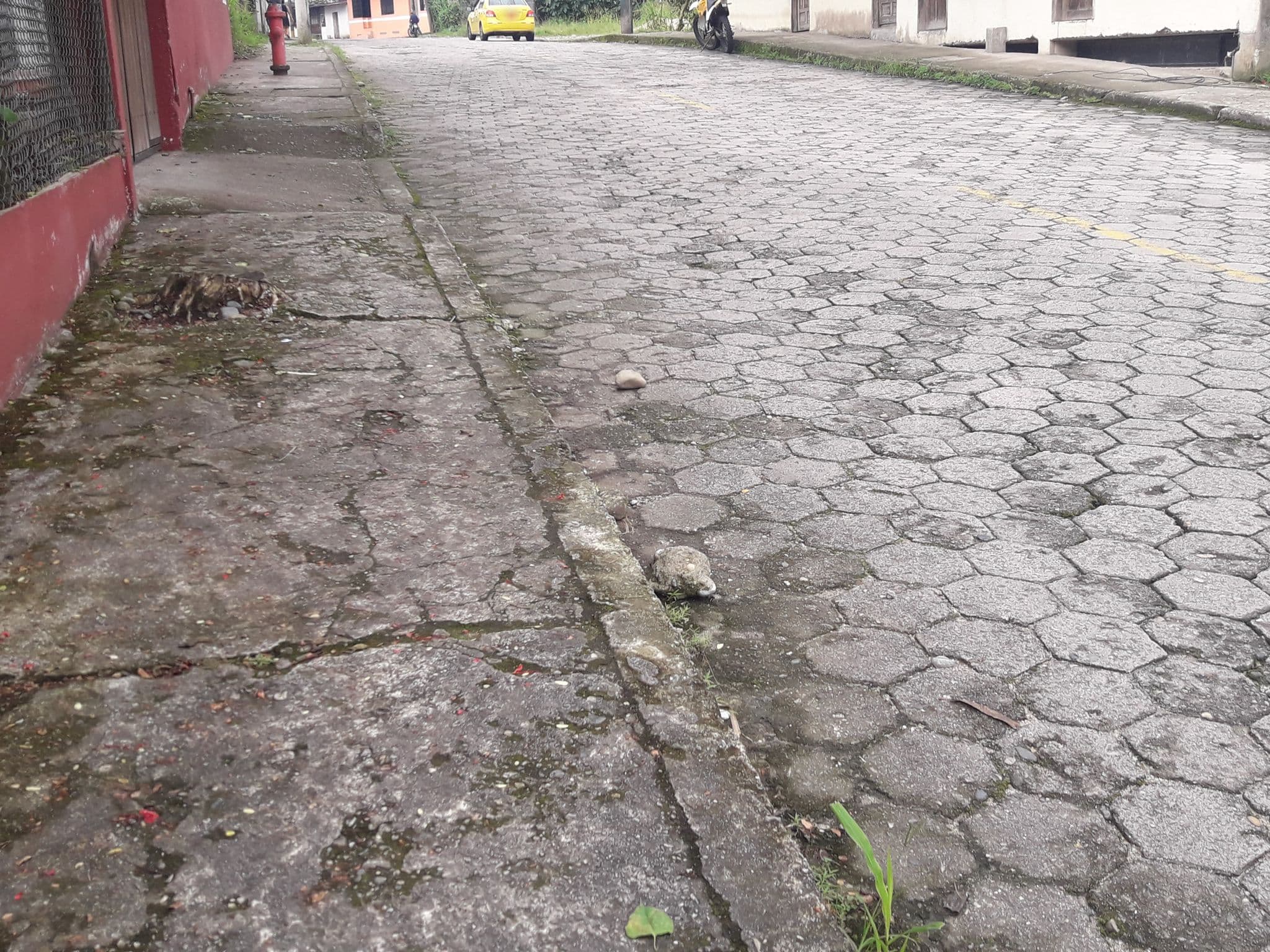 Street view near Hostal Los Anturios, Tena — © yesenia22 (CC BY-SA · Mapillary)