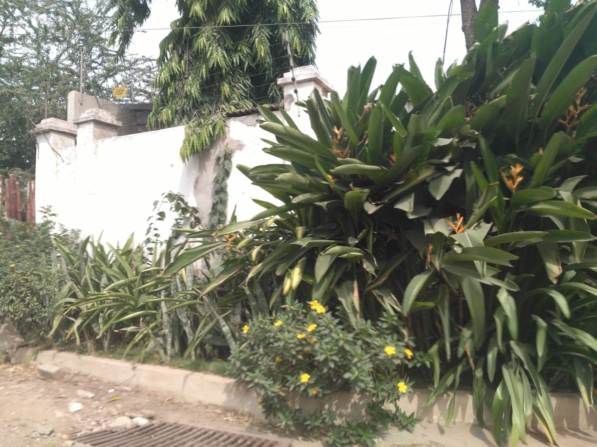 Street view near Chez Lien Hotel And Guest Room, Osu — © ralebipim (CC BY-SA · Mapillary)