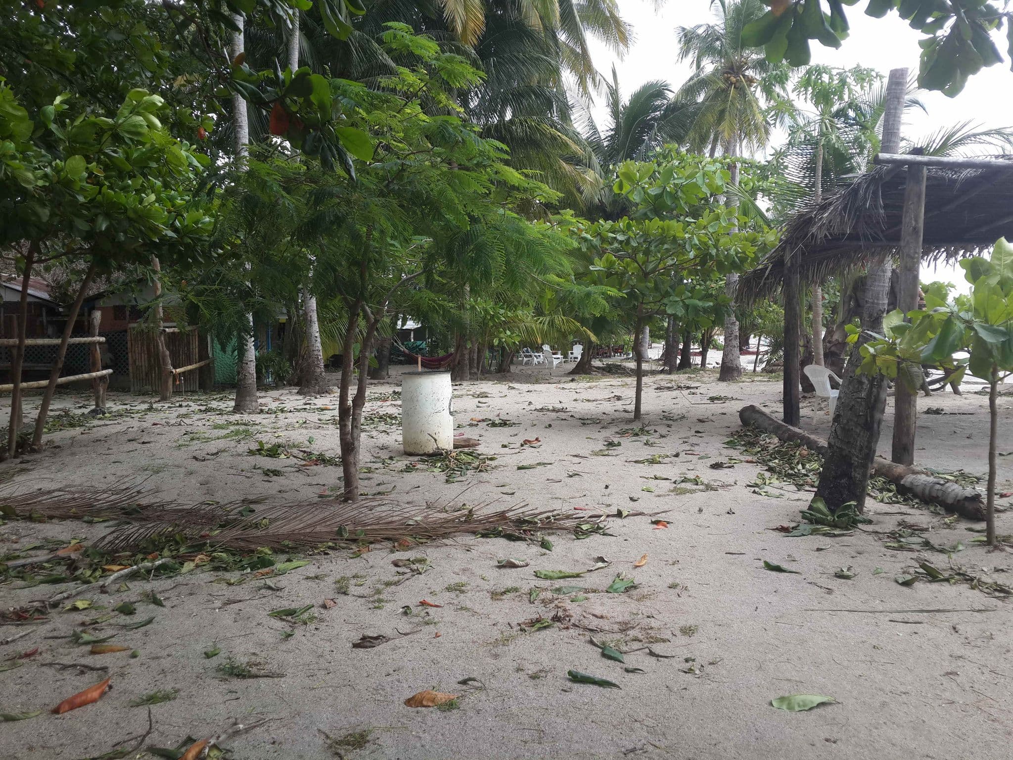 Street view near Hotel Macao Beach, Sámara — © jeukel (CC BY-SA · Mapillary)