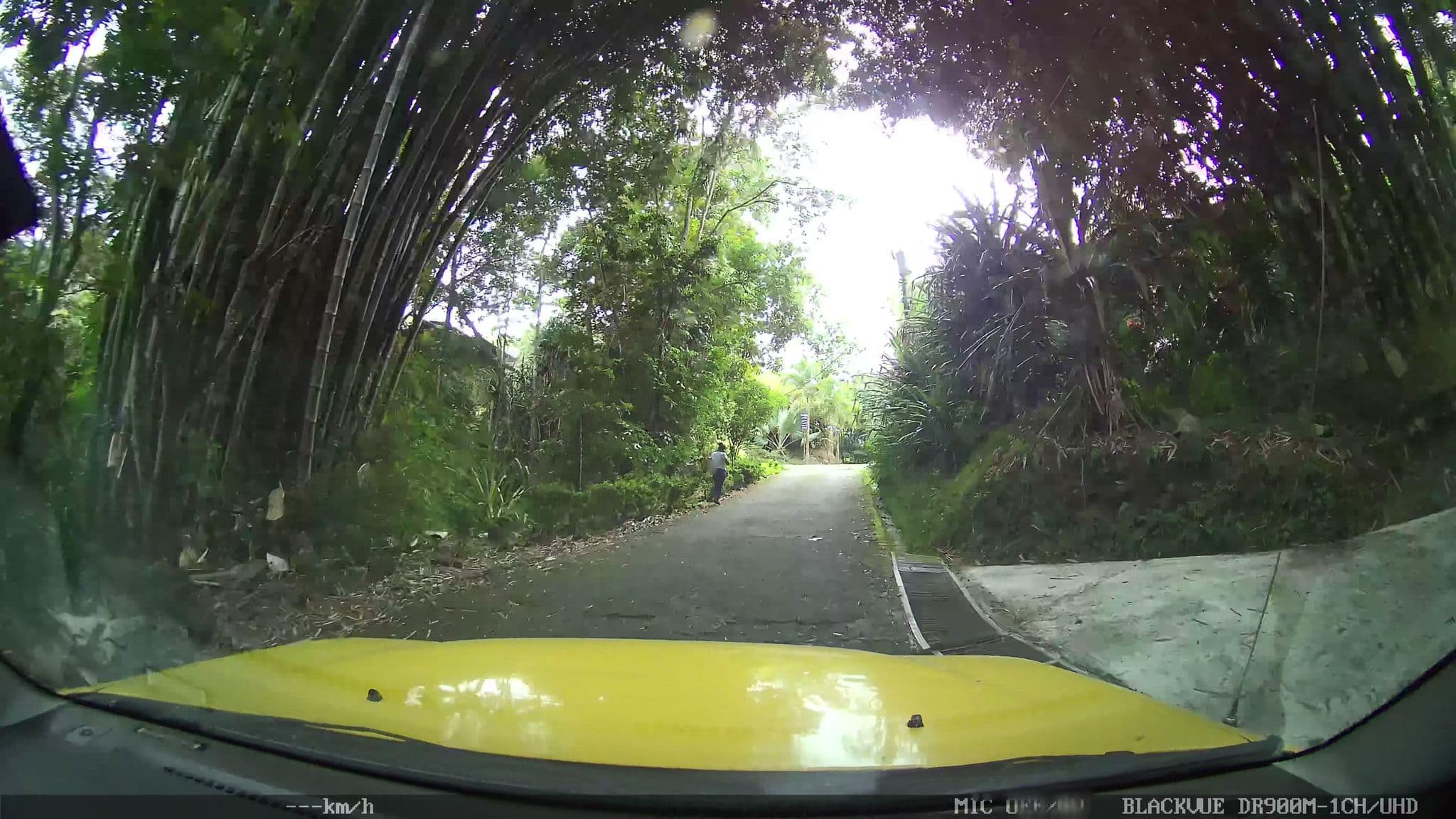 Street view near Villa Tucan, Quepos — © josealb (CC BY-SA · Mapillary)