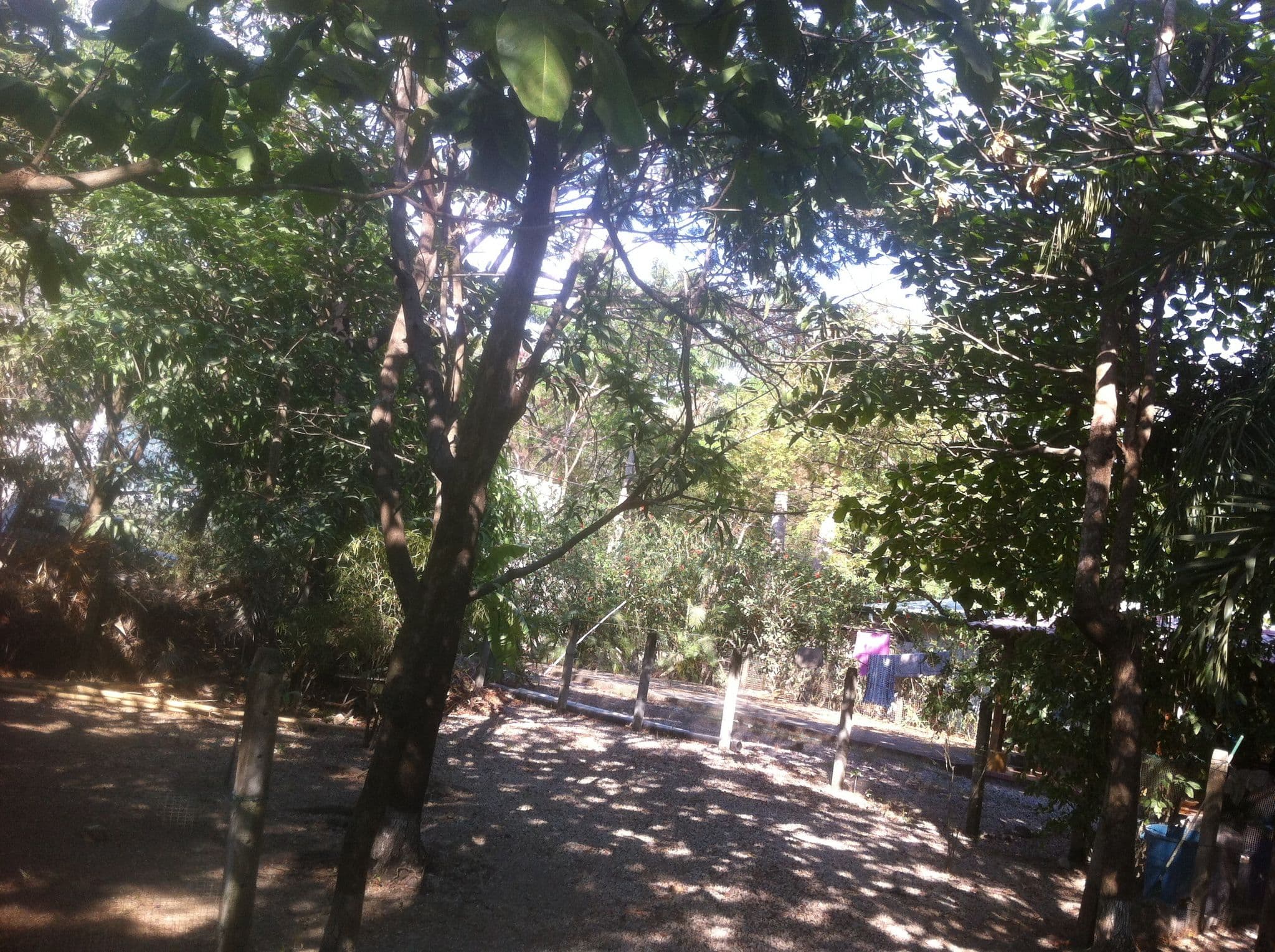 Street view near Yaxa Hotel, Sámara — © lumi (CC BY-SA · Mapillary)