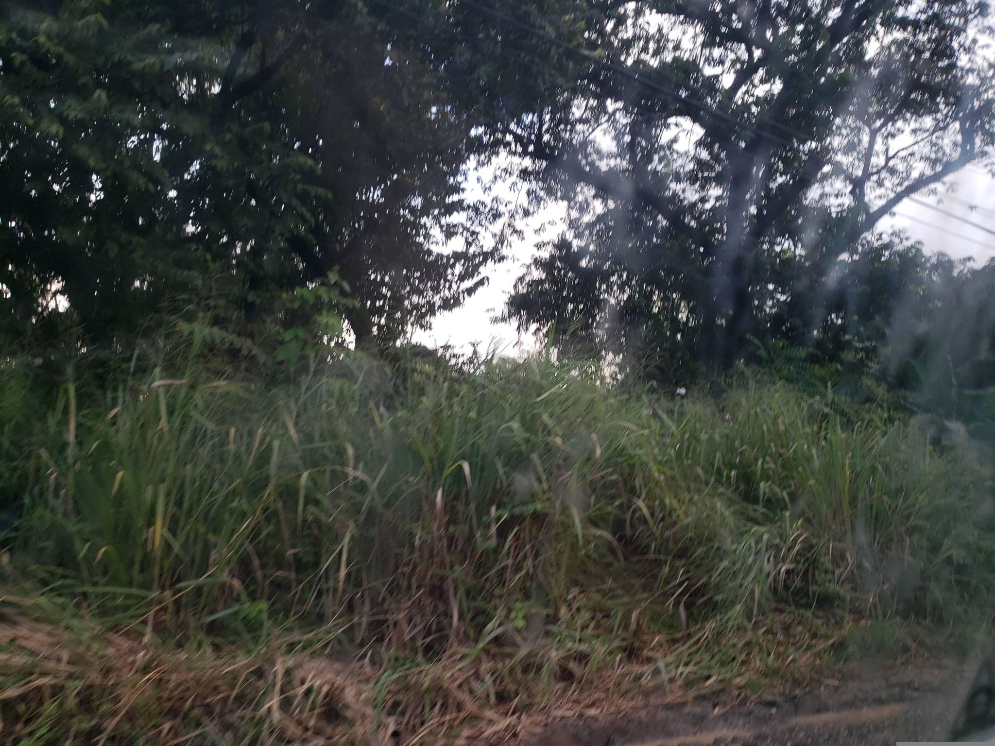 Street view near Paspartu, Sámara — © mapfool (CC BY-SA · Mapillary)