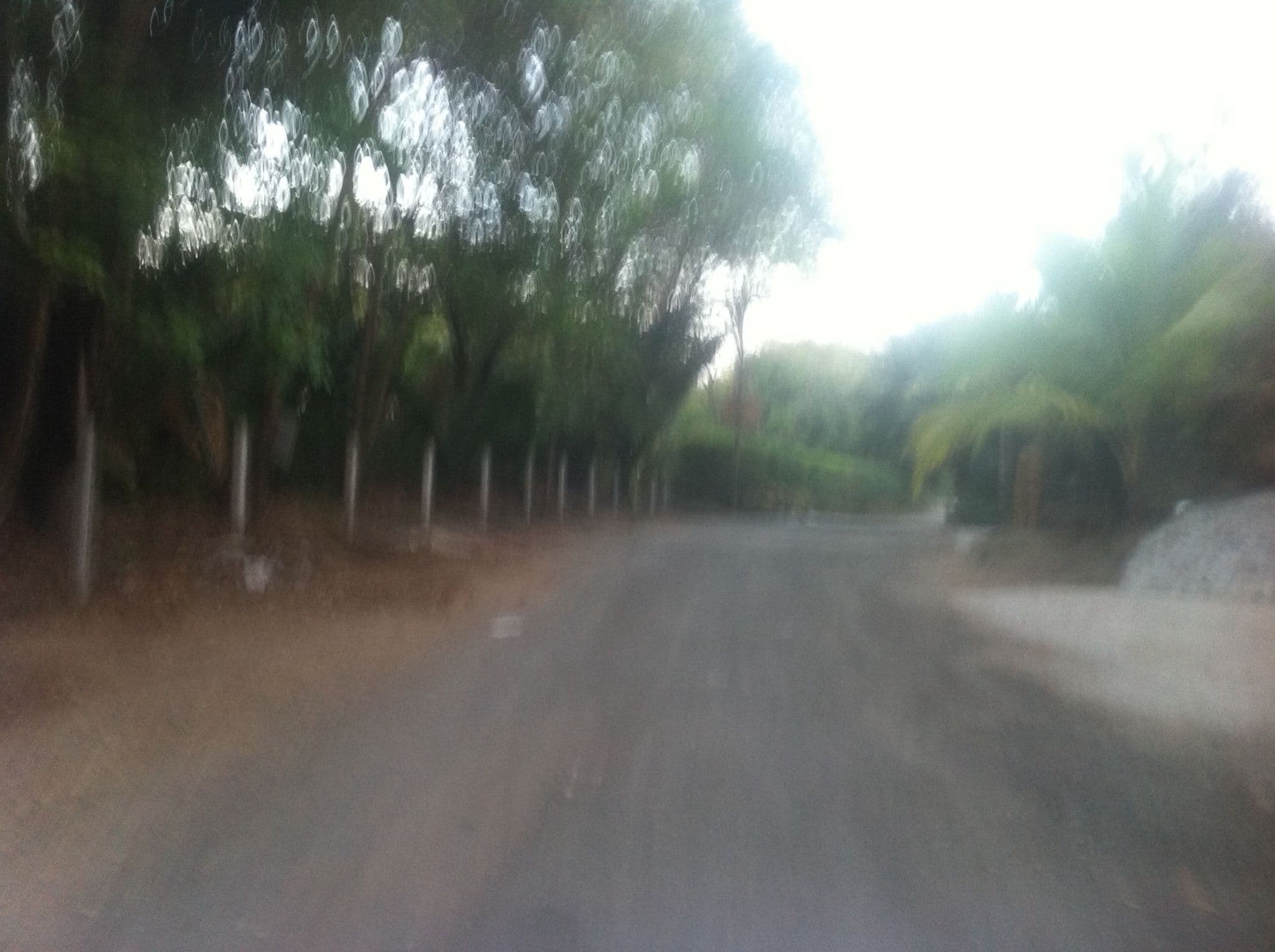 Street view near Nosara Verde, Sámara — © lumi (CC BY-SA · Mapillary)