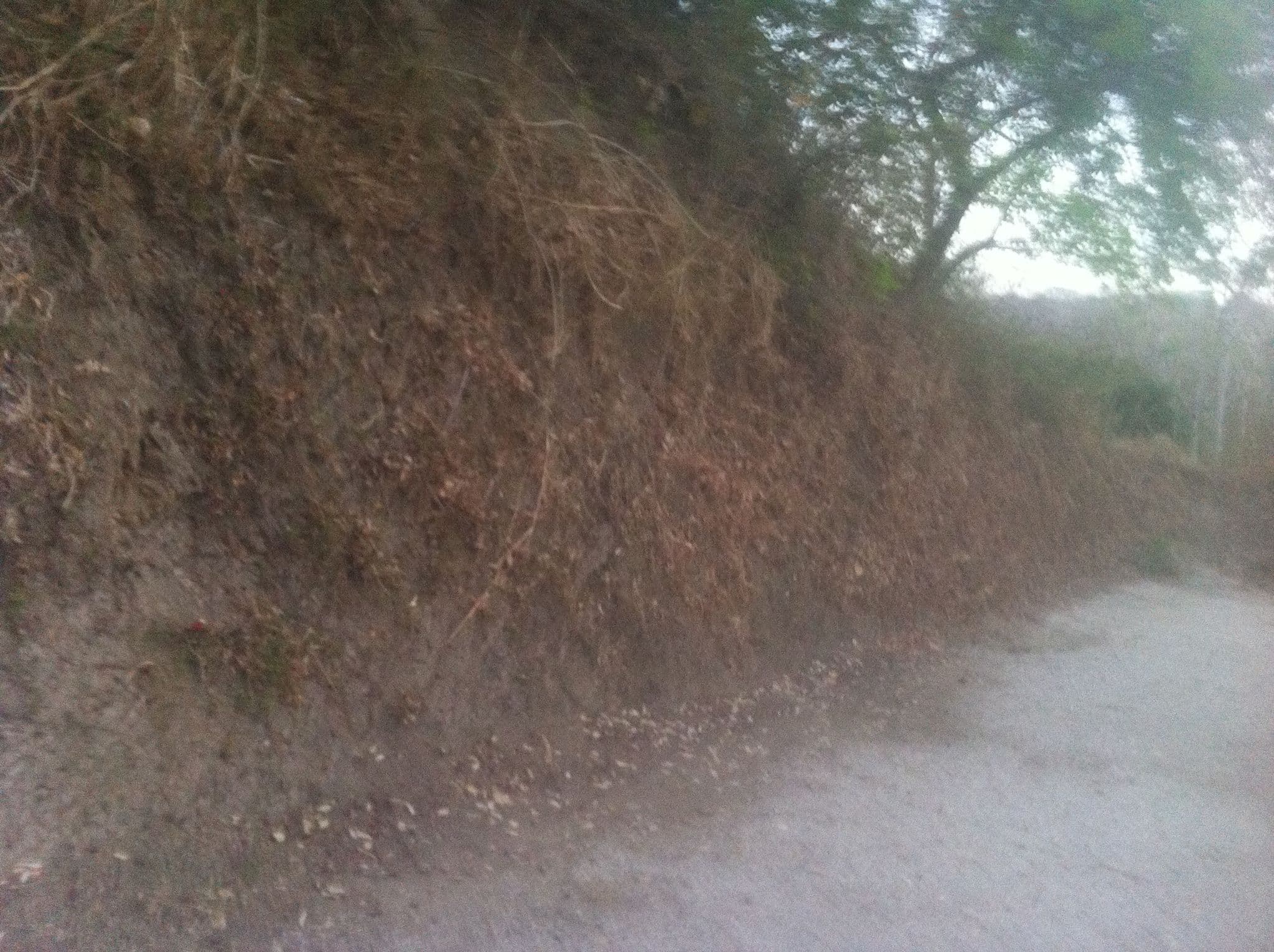 Street view near Green Sanctuary Hotel, Sámara — © lumi (CC BY-SA · Mapillary)