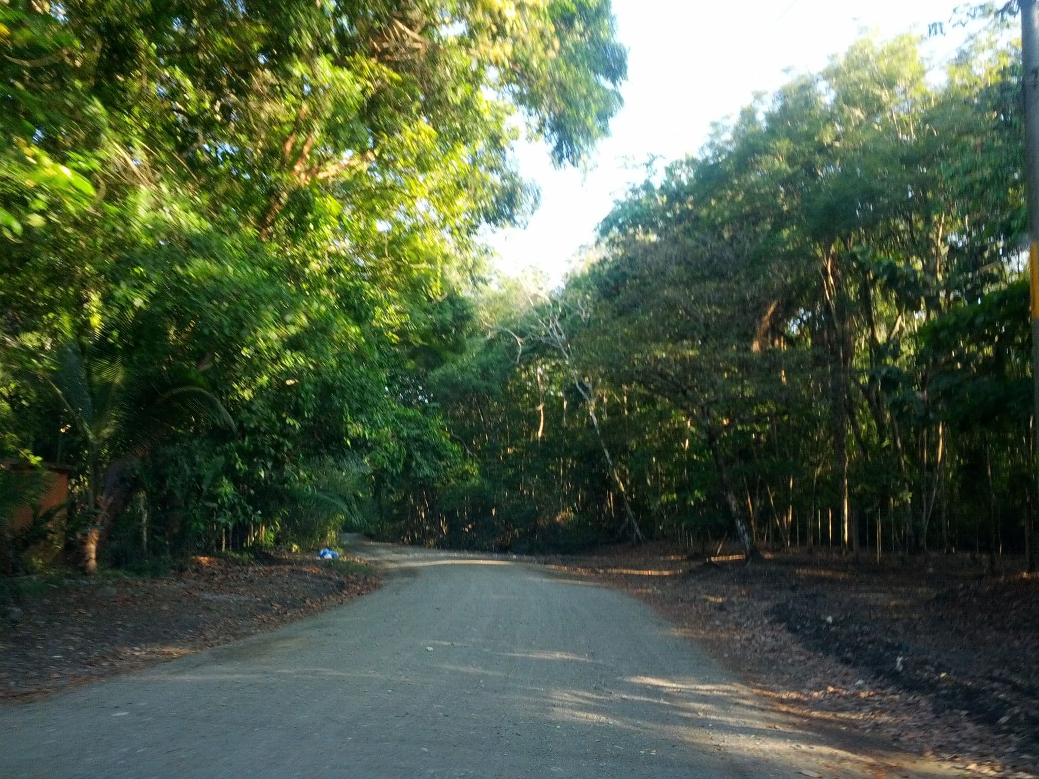Street view near Osa Lodge, Golfito — © elotrojames (CC BY-SA · Mapillary)